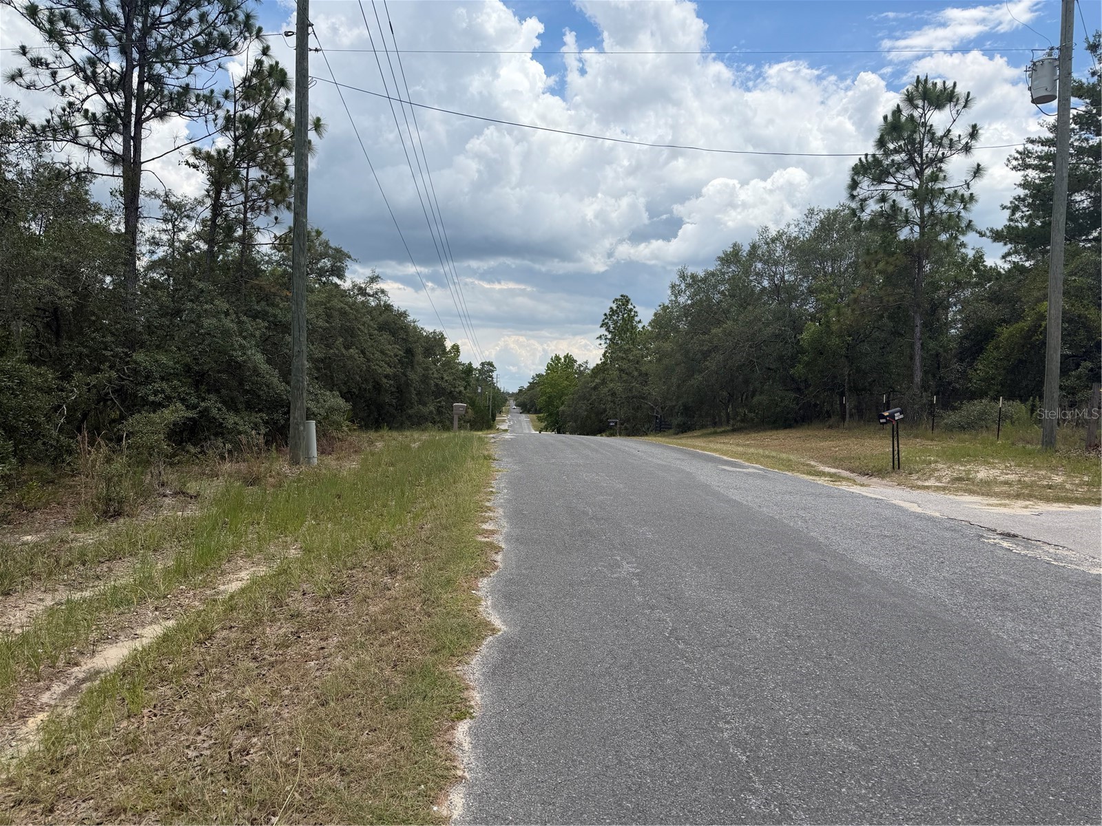 6215 S Premiere Avenue Homosassa FL 34446 W7886636 image3