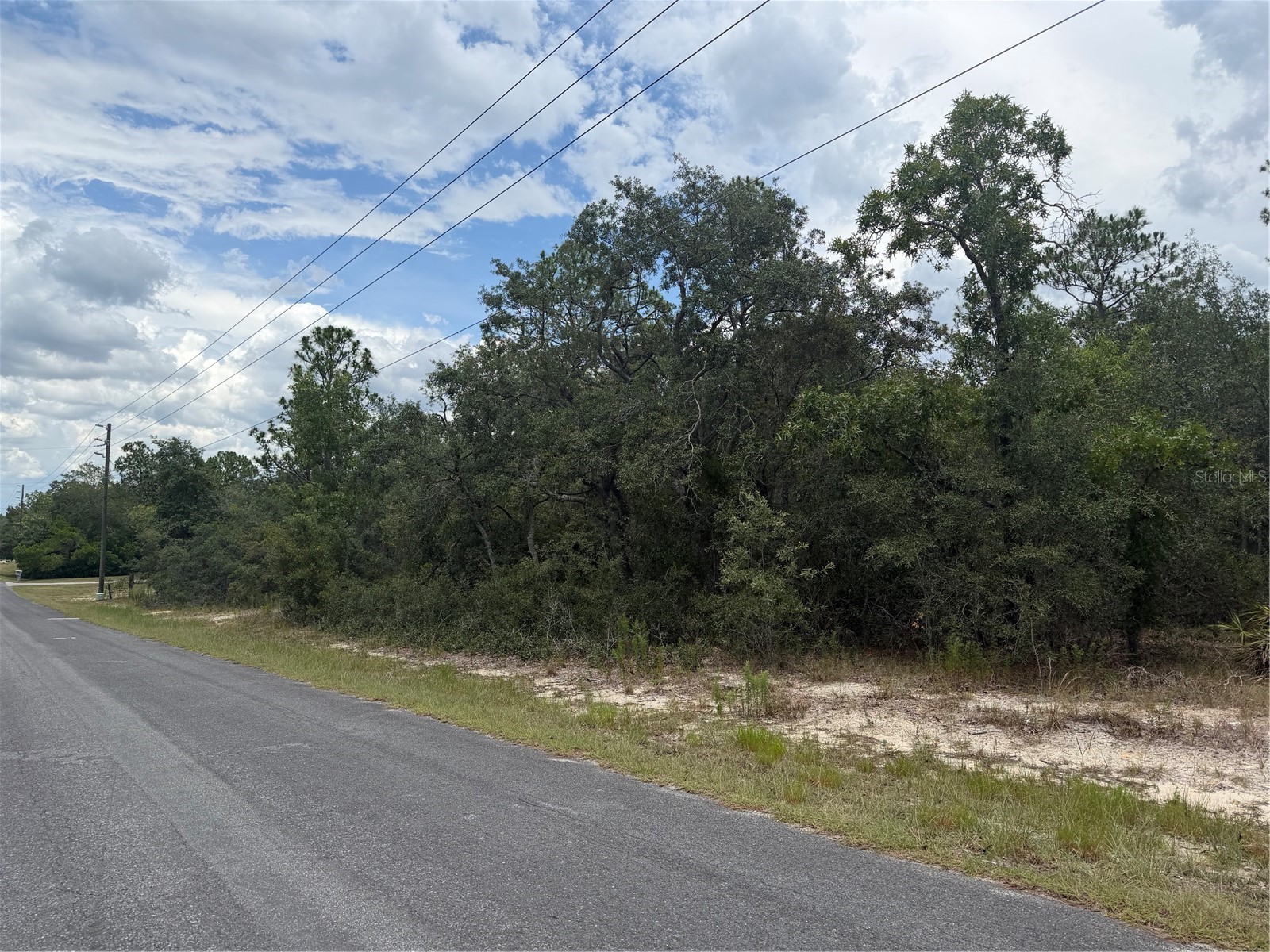 6215 S Premiere Avenue Homosassa FL 34446 W7886636 image4