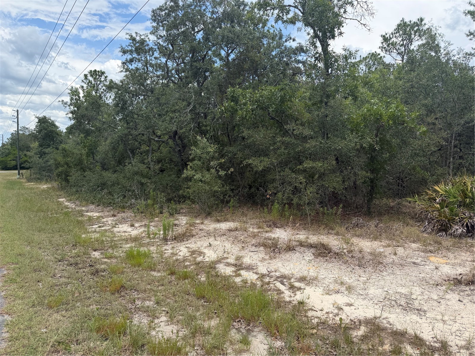 6215 S Premiere Avenue Homosassa FL 34446 W7886636 image6