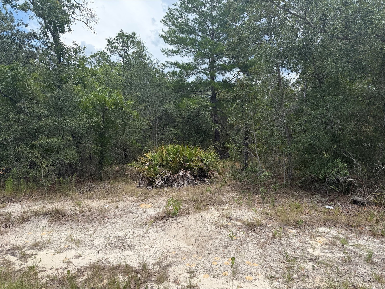 6215 S Premiere Avenue Homosassa FL 34446 W7886636 image7