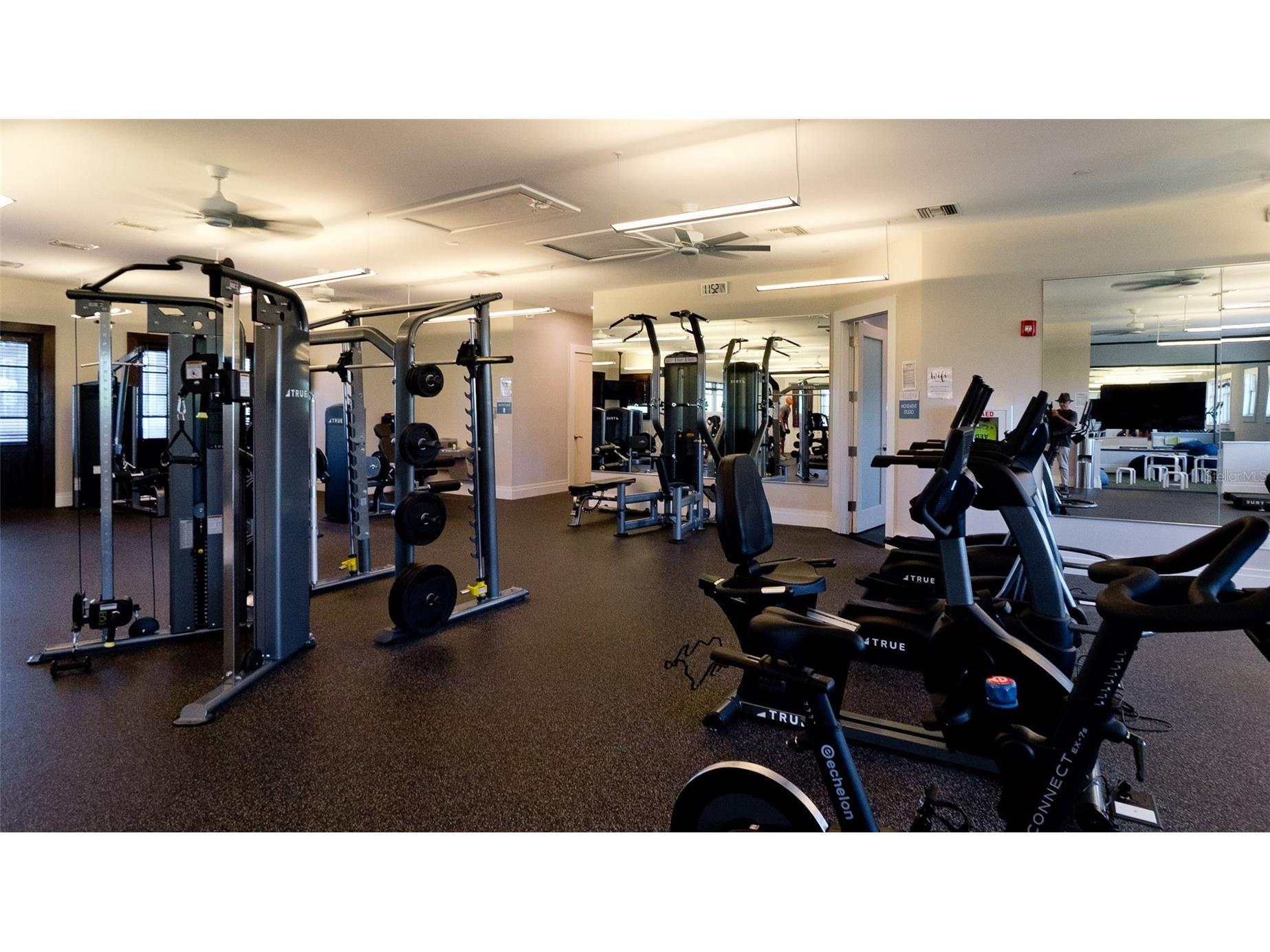 6215 Willowside Street Palmetto FL 34221 A4693135 image19