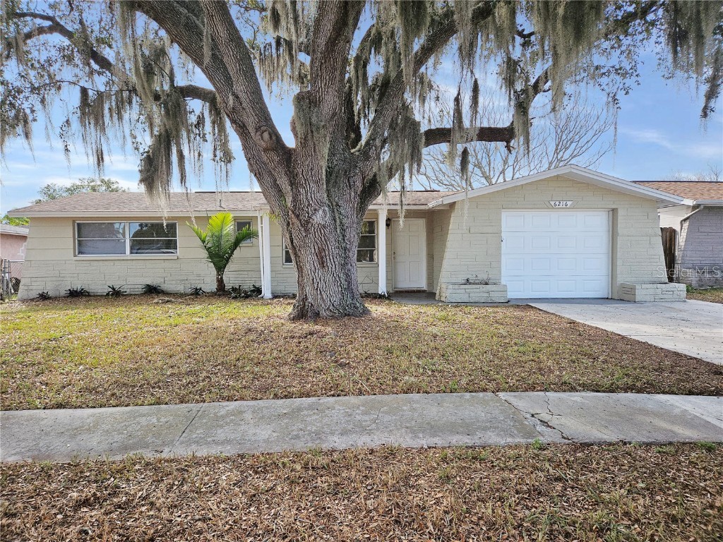 6216 7th Avenue New Port Richey FL 34653 W7871779 image1