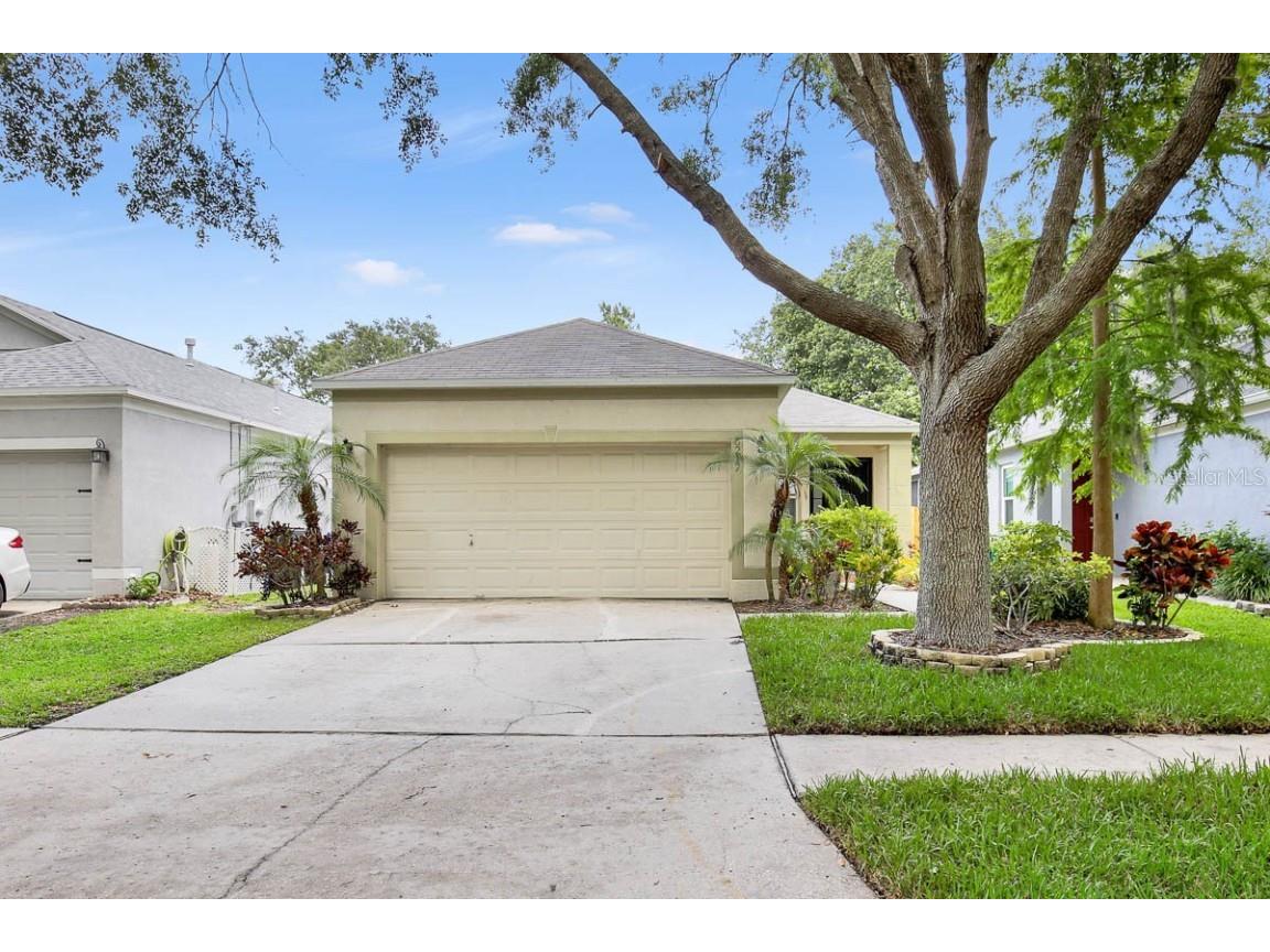 6217 Kiteridge Drive Lithia FL 33547 T3448564 image1