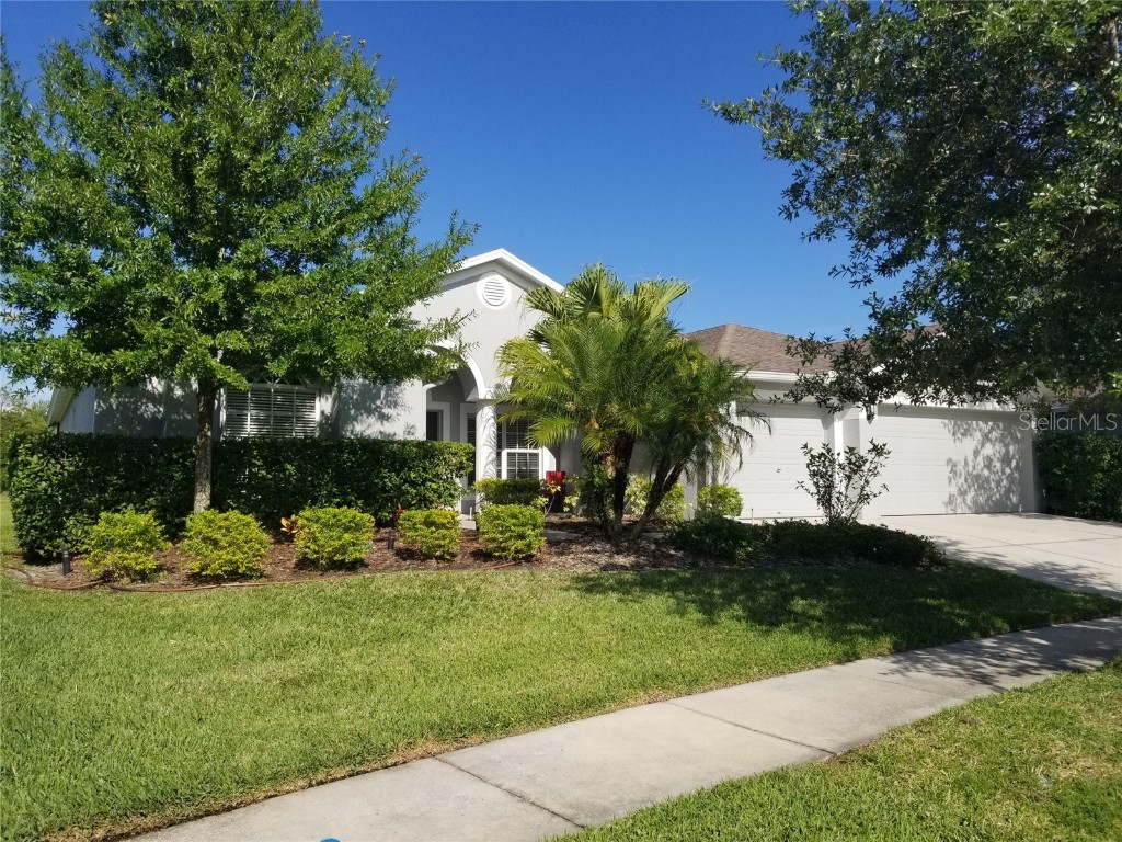6218 Bridgevista Drive Lithia FL 33547 T3450294 image1