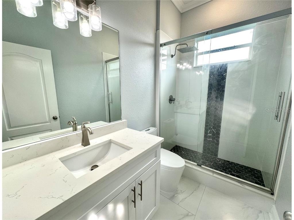 6218 Bridleford Drive Wesley Chapel FL 33545 T3528728 image49