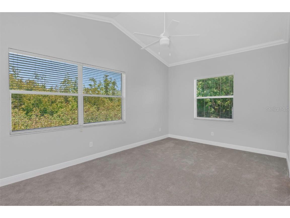 6218 Bridleford Drive Wesley Chapel FL 33545 T3528728 image53