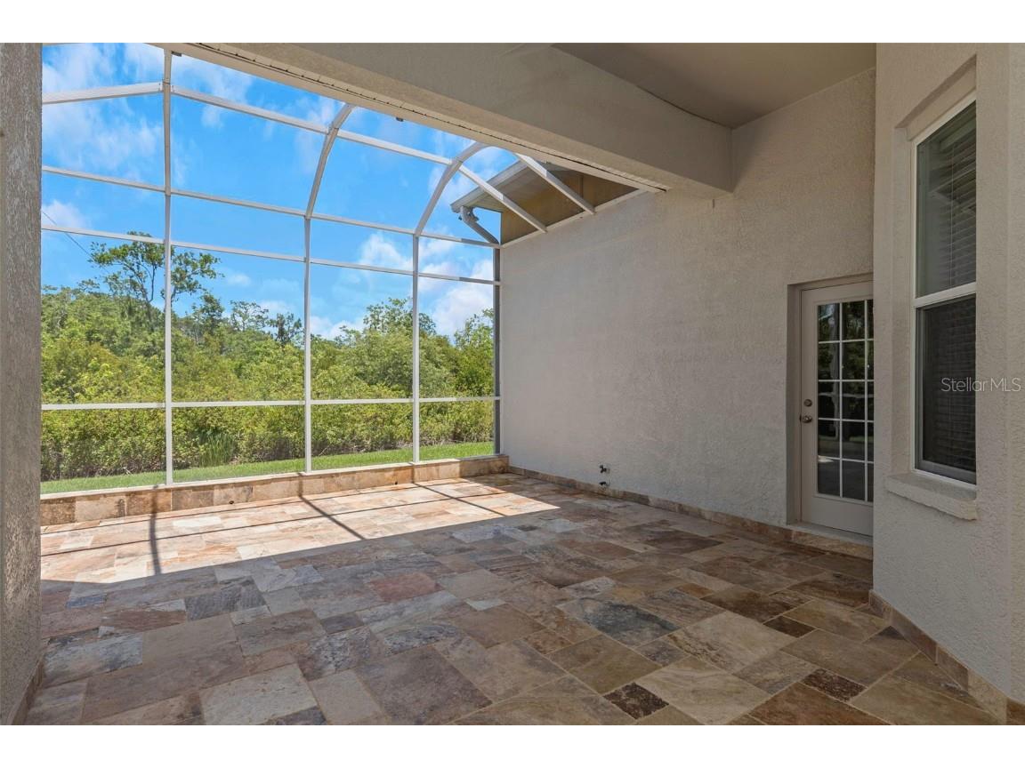 6218 Bridleford Drive Wesley Chapel FL 33545 T3528728 image66