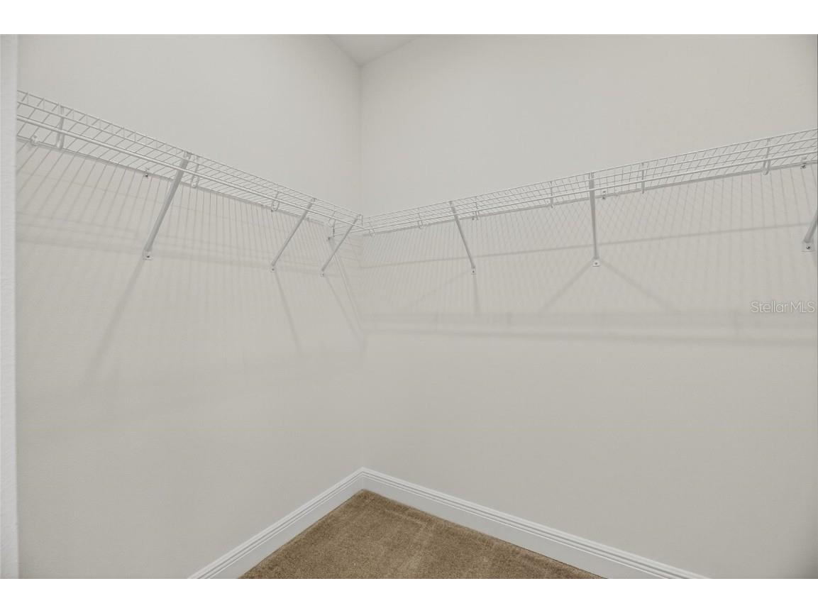 6218 Hidden Branch Drive Apollo Beach FL 33572 TB8404593 image21