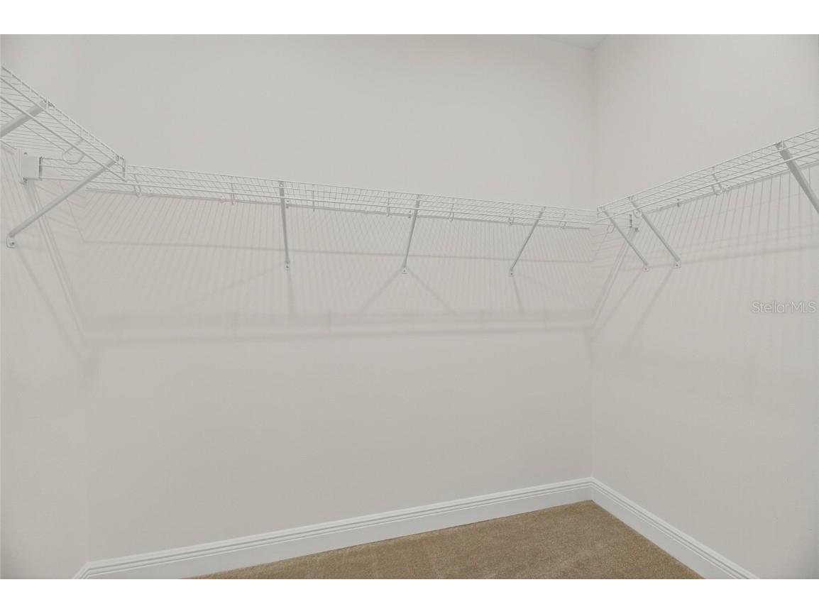 6218 Hidden Branch Drive Apollo Beach FL 33572 TB8404593 image22