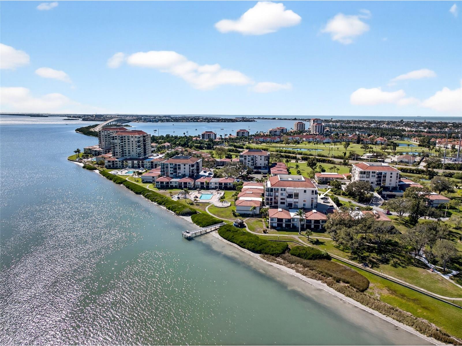 6218 Palma Del Mar Boulevard #405 Saint Petersburg FL 33715 TB8463635 image59