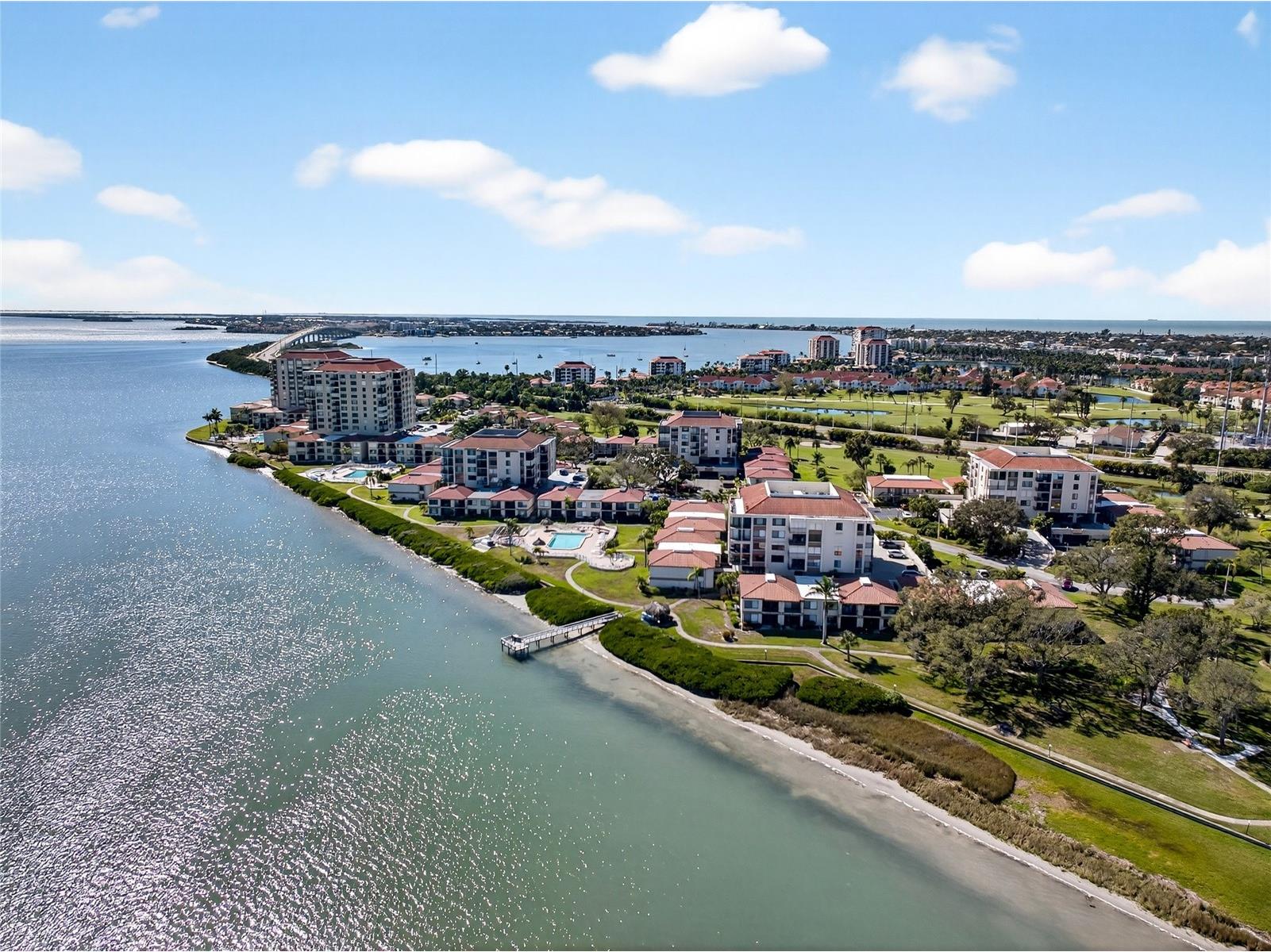 6218 Palma Del Mar Boulevard #405 Saint Petersburg FL 33715 TB8463635 image60