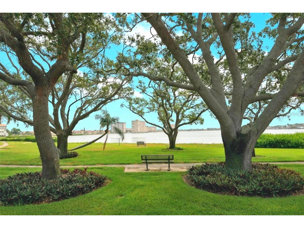 6218 Palma Del Mar Boulevard S #307 Saint Petersburg FL 33715 TB8432400 image6