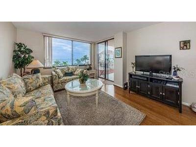 6218 Palma Del Mar Boulevard S #401 Saint Petersburg FL 33715 TB8474779 image6