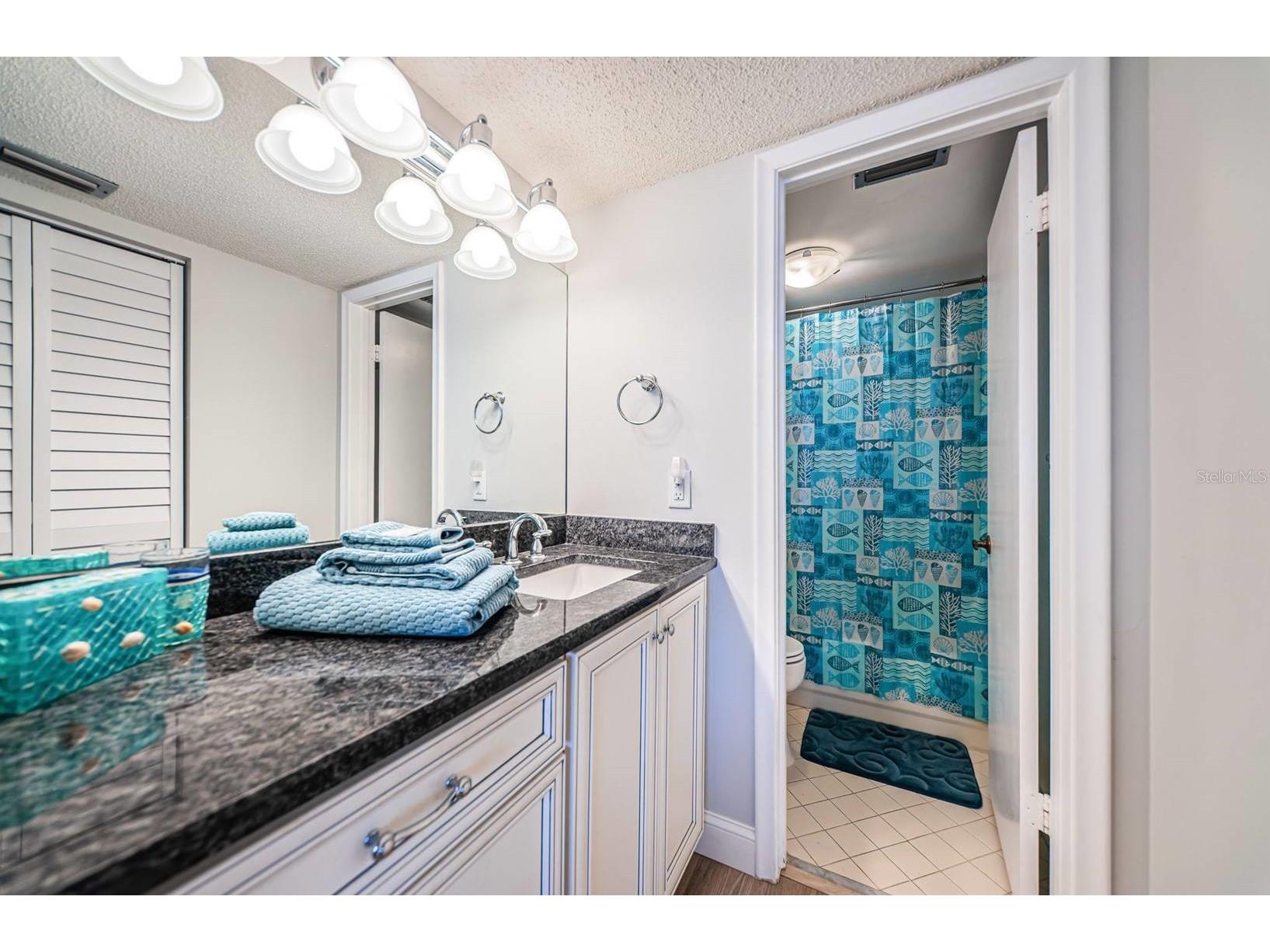 6218 Palma Del Mar Boulevard S #507 Saint Petersburg FL 33715 TB8474797 image15
