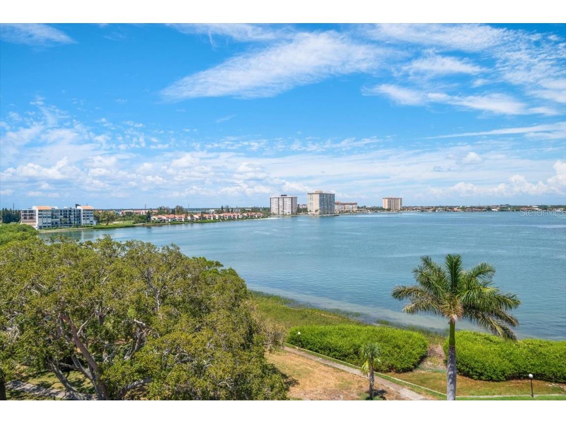 6218 Palma Del Mar Boulevard S #606 Saint Petersburg FL 33715 - BOCA CIEGA BAY AND TAMPA BAY TB8431991 image1