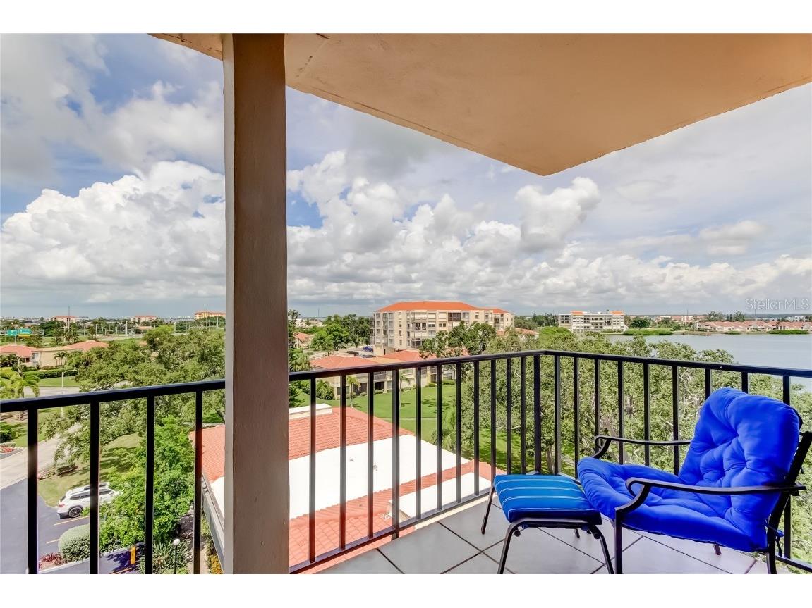 6218 Palma Del Mar Boulevard S #606 Saint Petersburg FL 33715 - BOCA CIEGA BAY AND TAMPA BAY TB8431991 image21