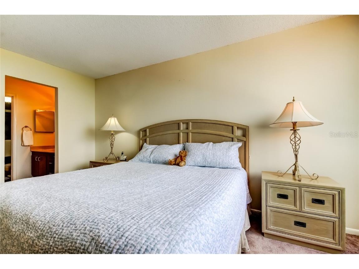 6218 Palma Del Mar Boulevard S #606 Saint Petersburg FL 33715 - BOCA CIEGA BAY AND TAMPA BAY TB8431991 image25