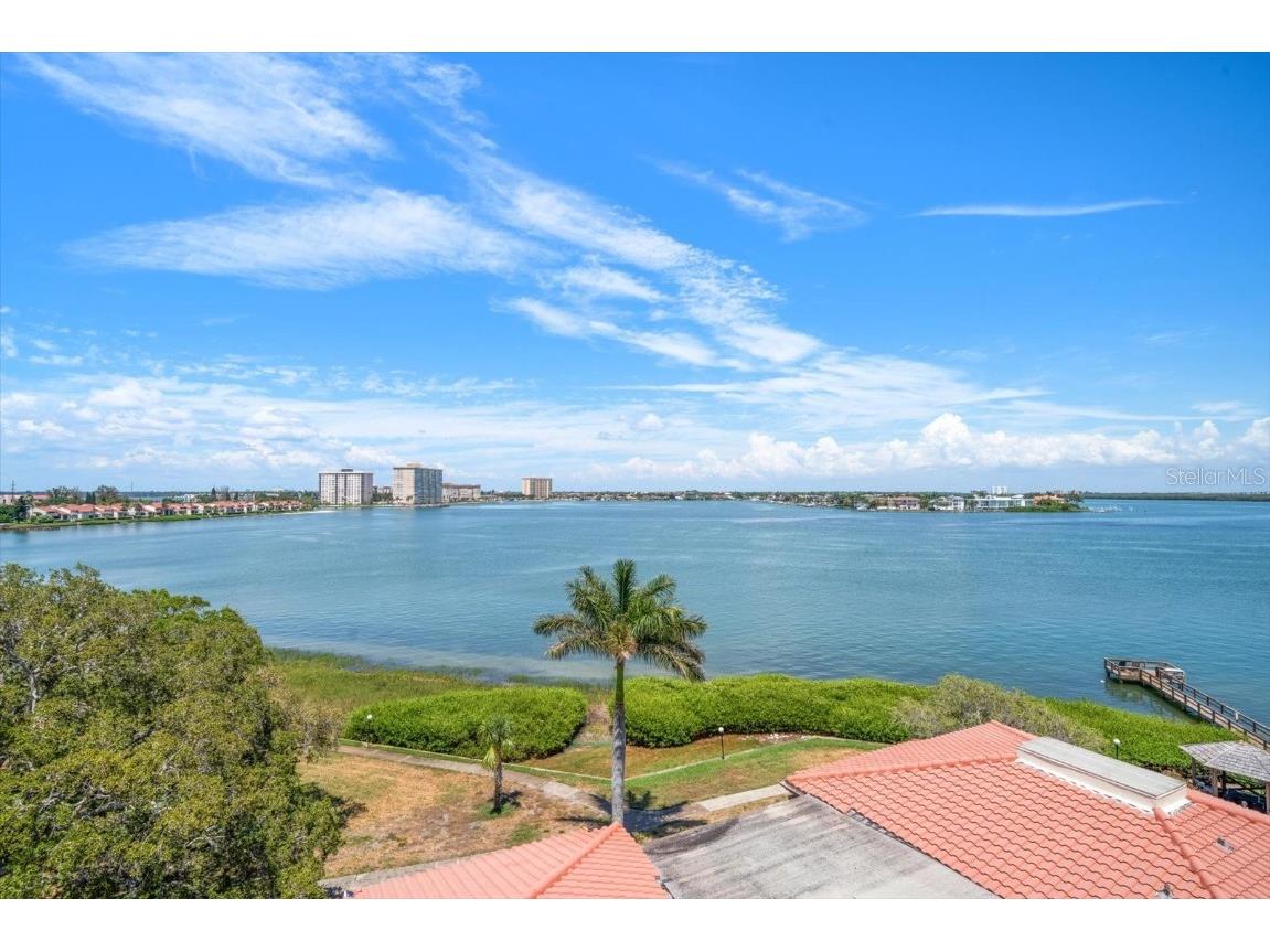 6218 Palma Del Mar Boulevard S #606 Saint Petersburg FL 33715 - BOCA CIEGA BAY AND TAMPA BAY TB8431991 image34