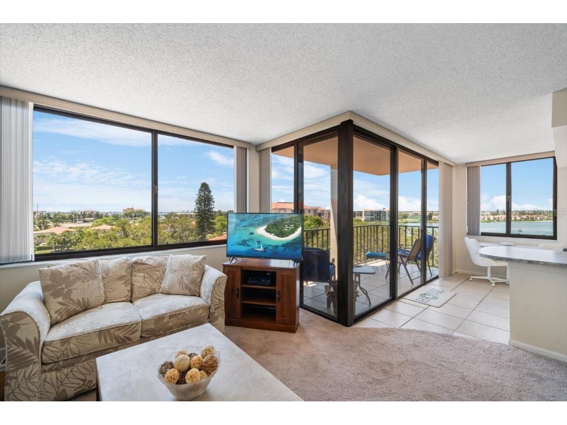 6218 Palma Del Mar Boulevard S #606 Saint Petersburg FL 33715 - BOCA CIEGA BAY AND TAMPA BAY TB8431991 image4