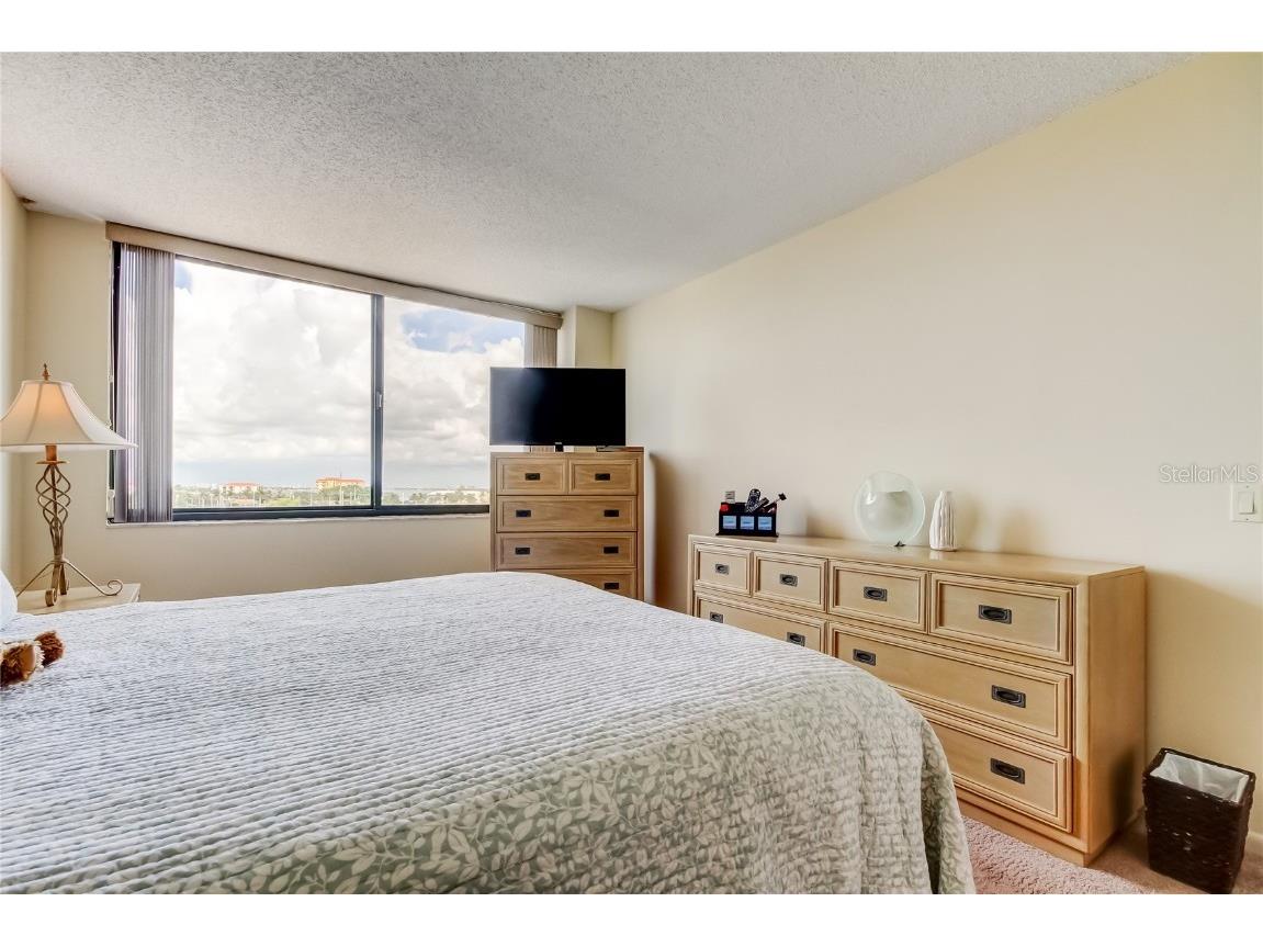 6218 Palma Del Mar Boulevard S #606 Saint Petersburg FL 33715 - BOCA CIEGA BAY AND TAMPA BAY TB8431991 image8