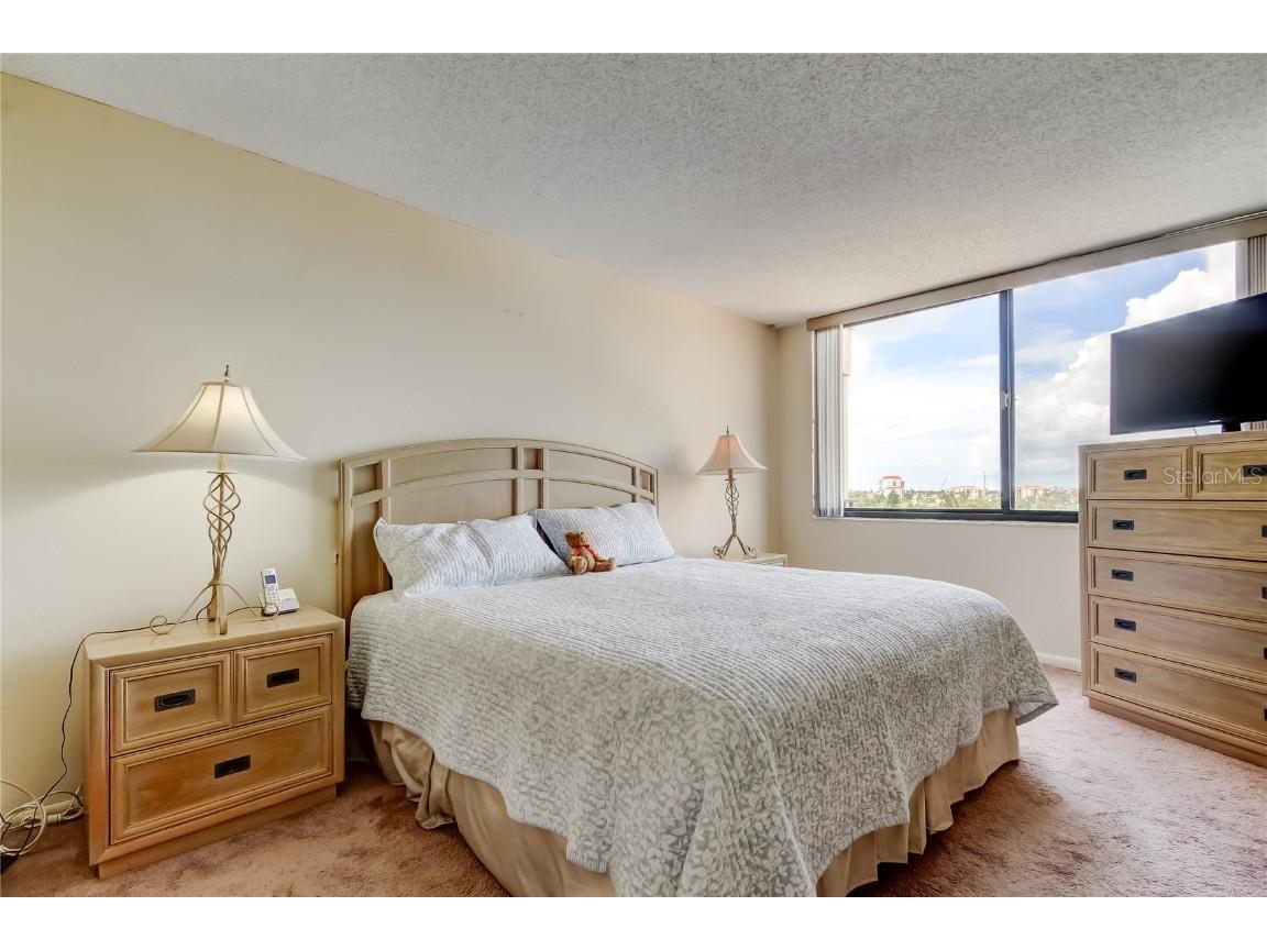 6218 Palma Del Mar Boulevard S #606 Saint Petersburg FL 33715 - BOCA CIEGA BAY AND TAMPA BAY TB8431991 image9