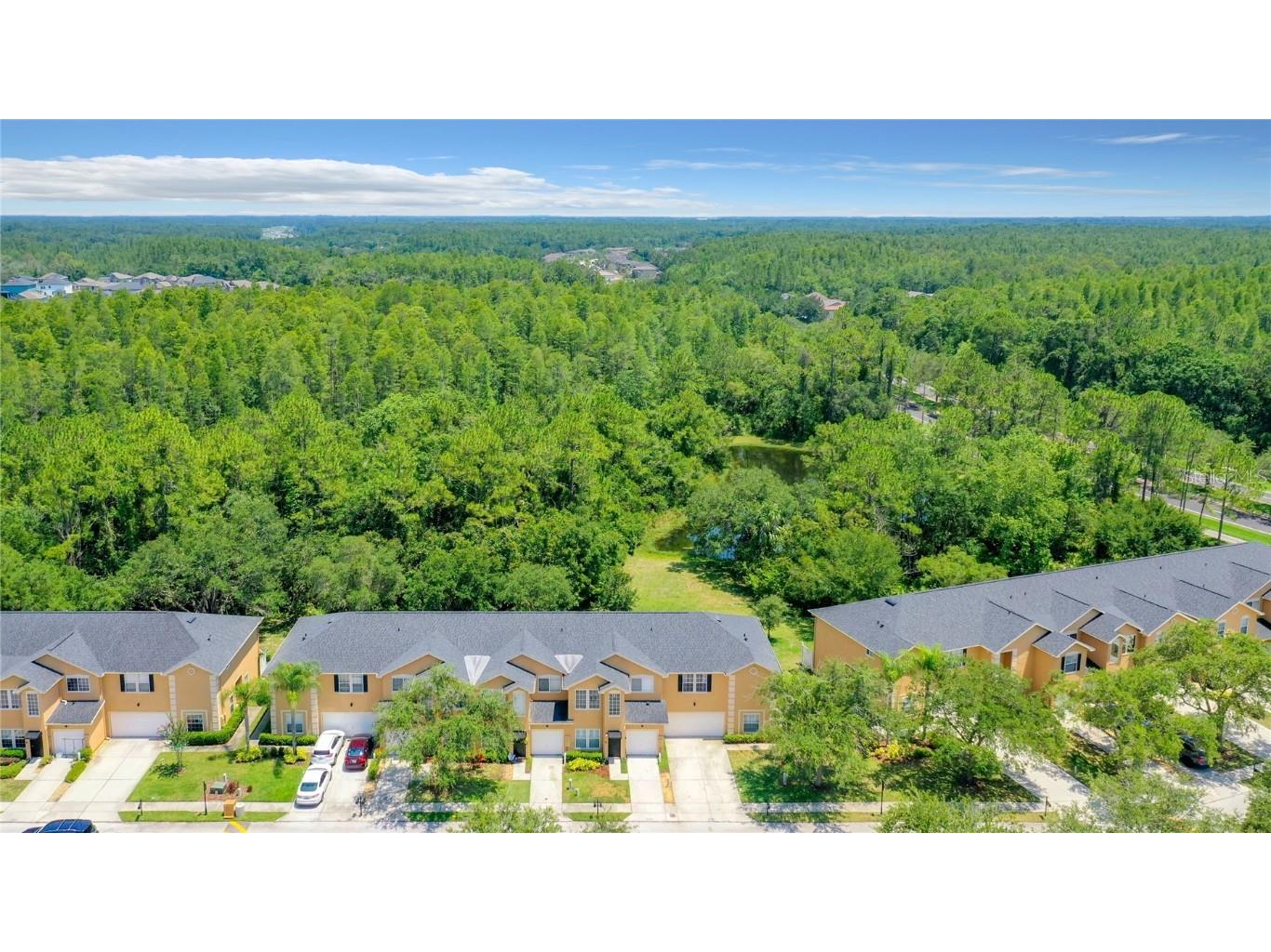 6219 Ashbury Palms Drive Tampa FL 33647 T3451266 image1