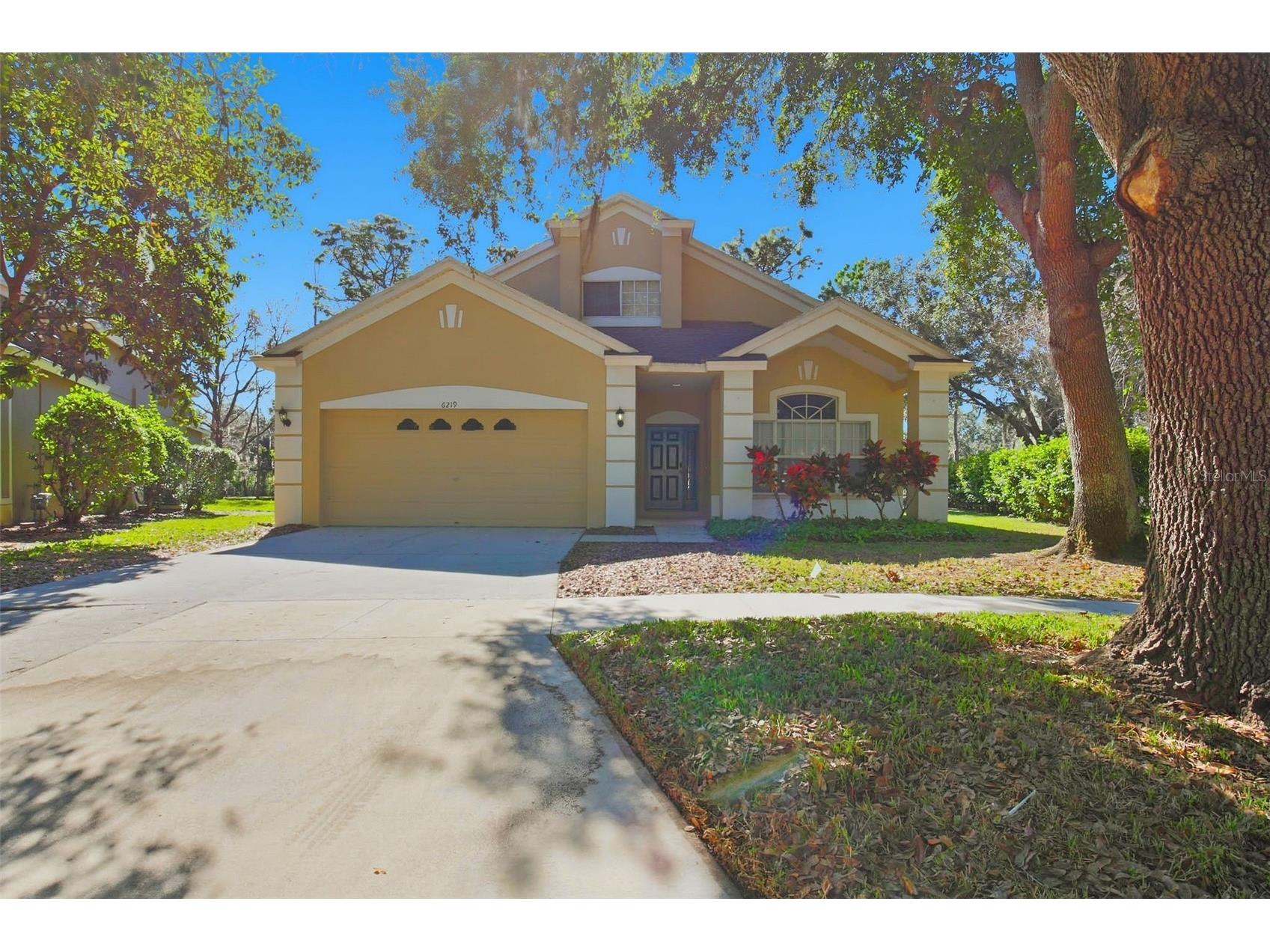 6219 Gannetdale Drive Lithia FL 33547 O6373977 image1