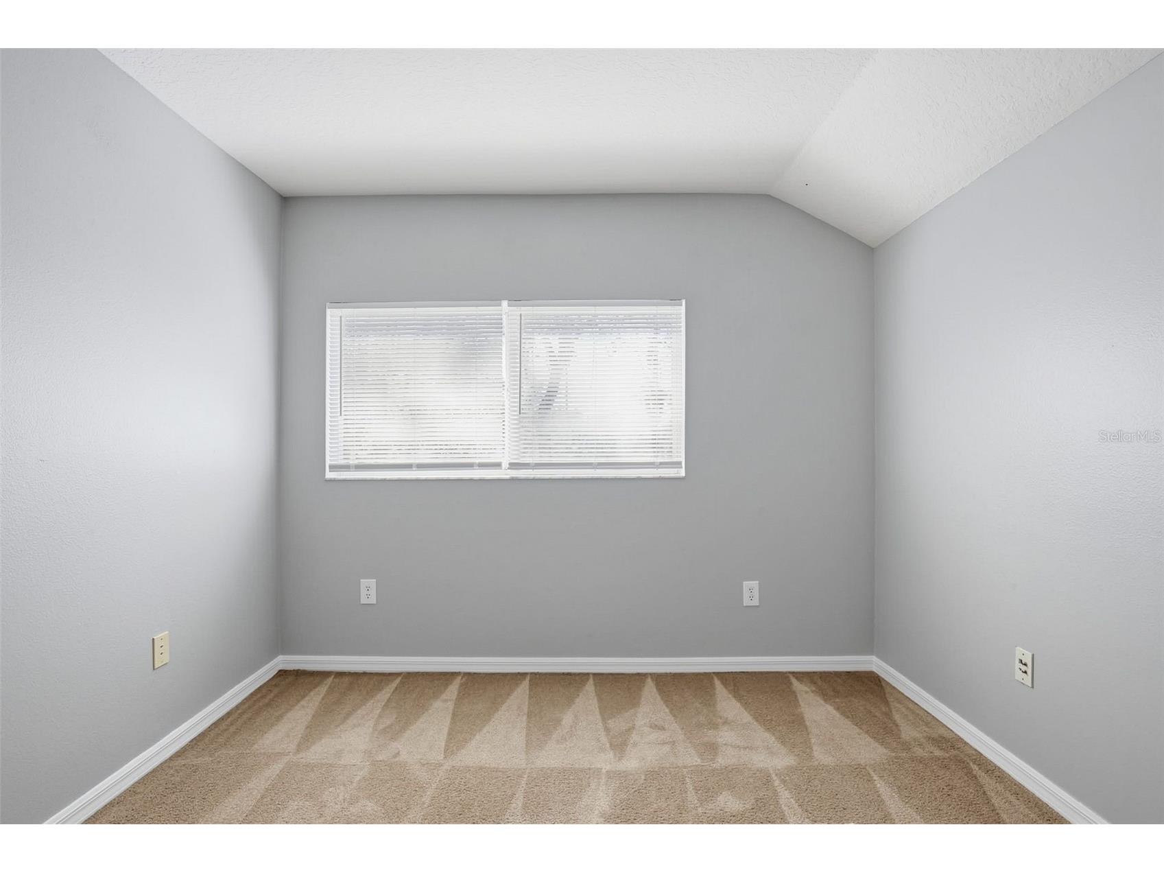 6219 Gannetdale Drive Lithia FL 33547 O6373977 image30