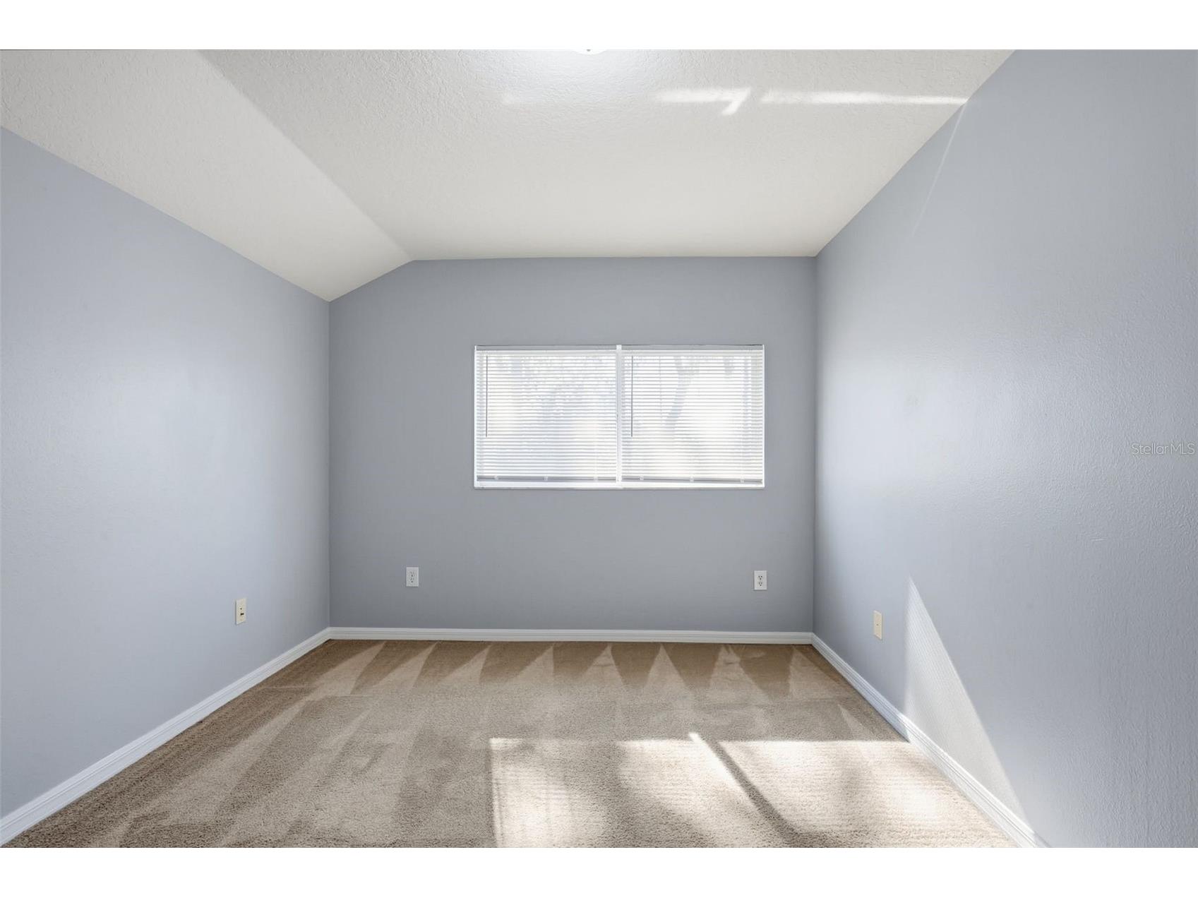 6219 Gannetdale Drive Lithia FL 33547 O6373977 image32