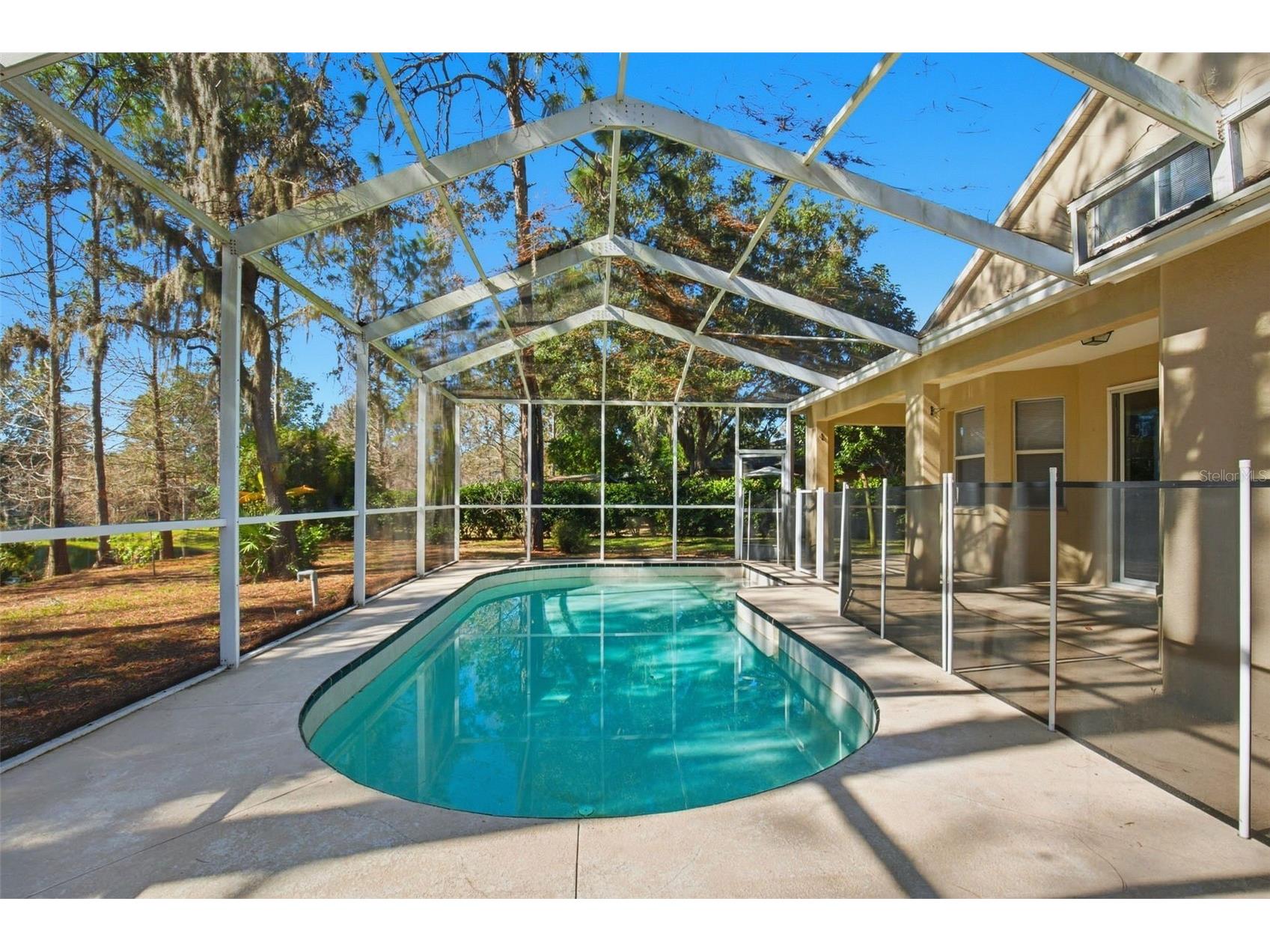 6219 Gannetdale Drive Lithia FL 33547 O6373977 image43