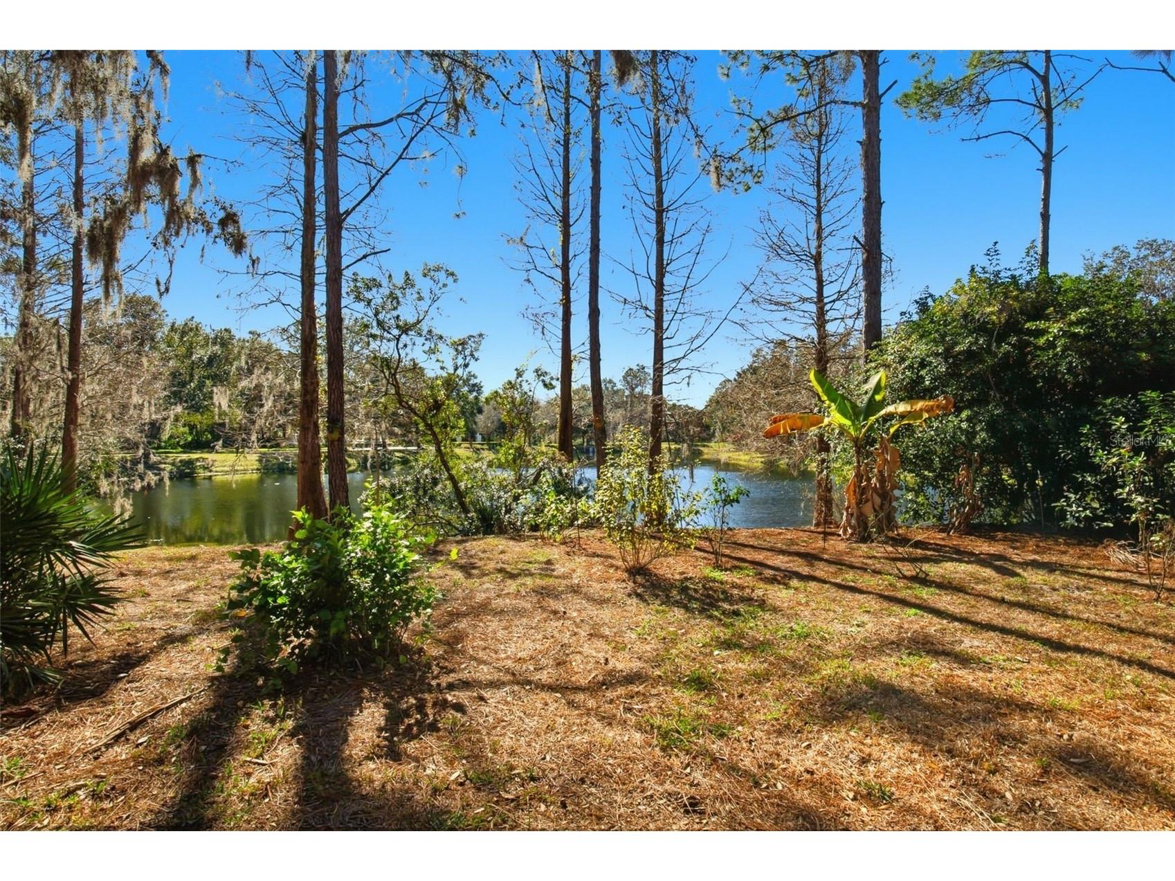 6219 Gannetdale Drive Lithia FL 33547 O6373977 image47