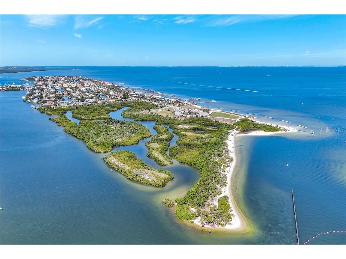 6219 Golden Nettle Drive Apollo Beach FL 33572 A4656036 image36