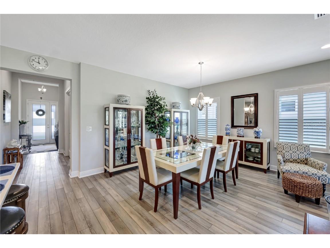 6219 Golden Nettle Drive Apollo Beach FL 33572 A4656036 image9