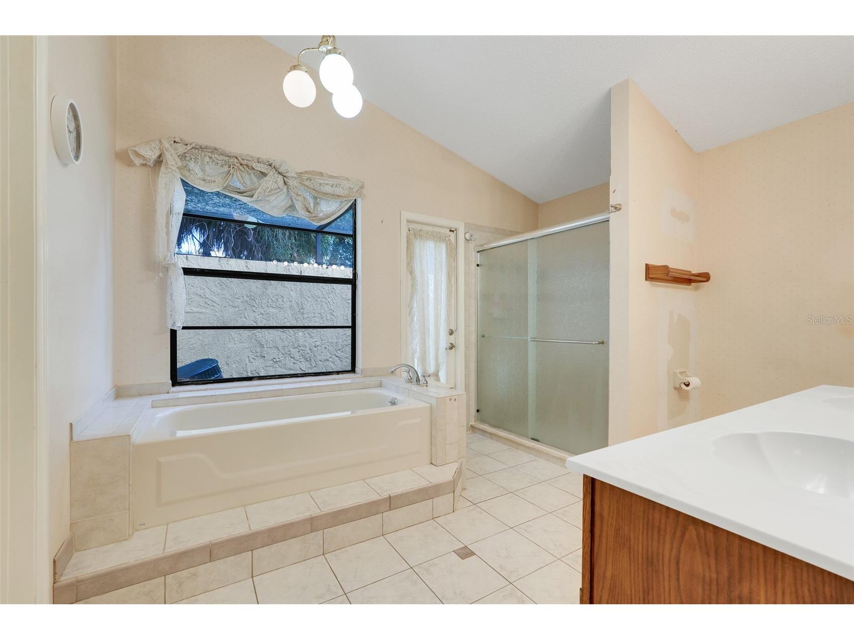 6219 Merridith Erin Lane Orlando FL 32819 O6384061 image22