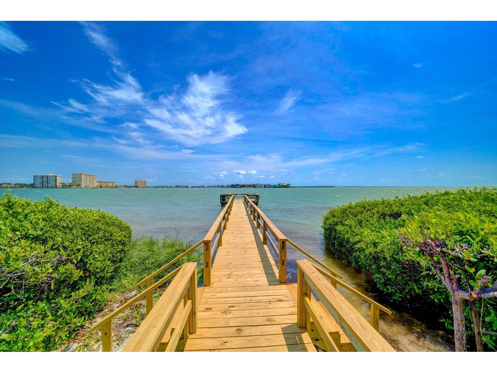 6219 Palma Del Mar Boulevard S #102 Saint Petersburg FL 33715 TB8523706 image28