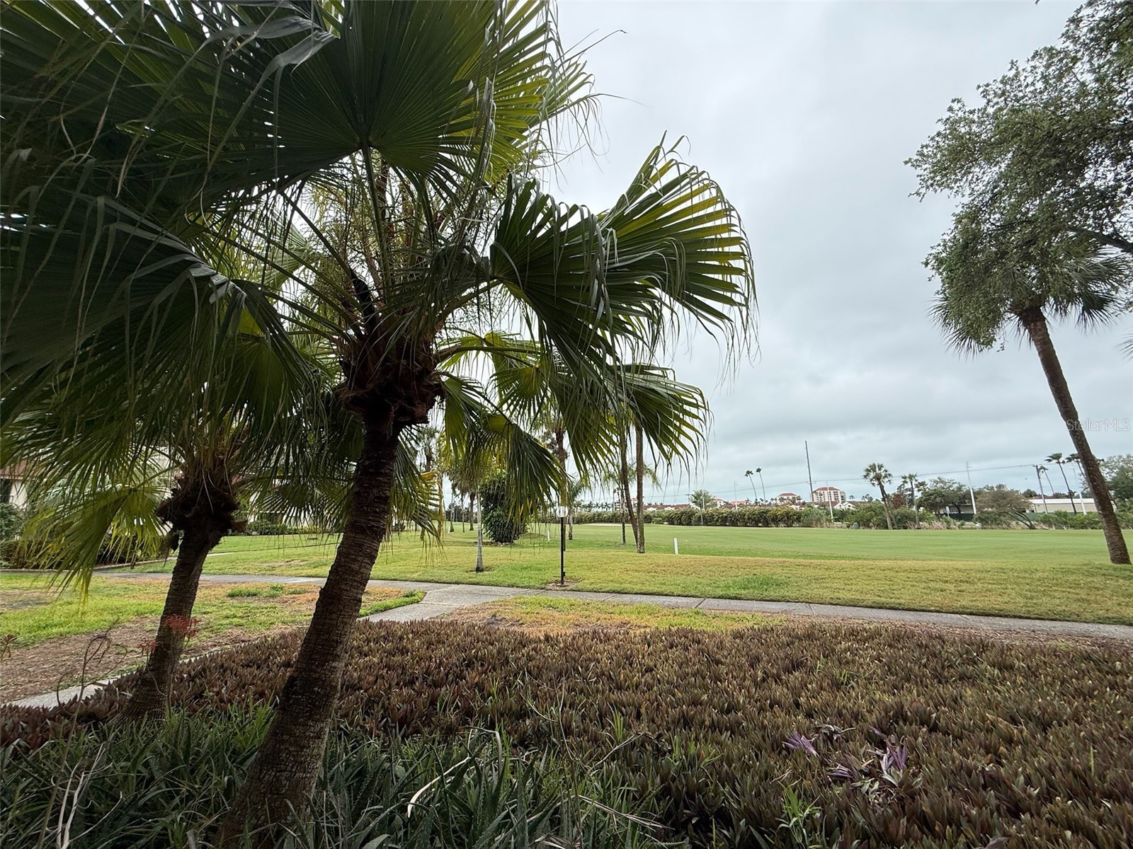 6219 Palma Del Mar Boulevard S #105 Saint Petersburg FL 33715 TB8495167 image14