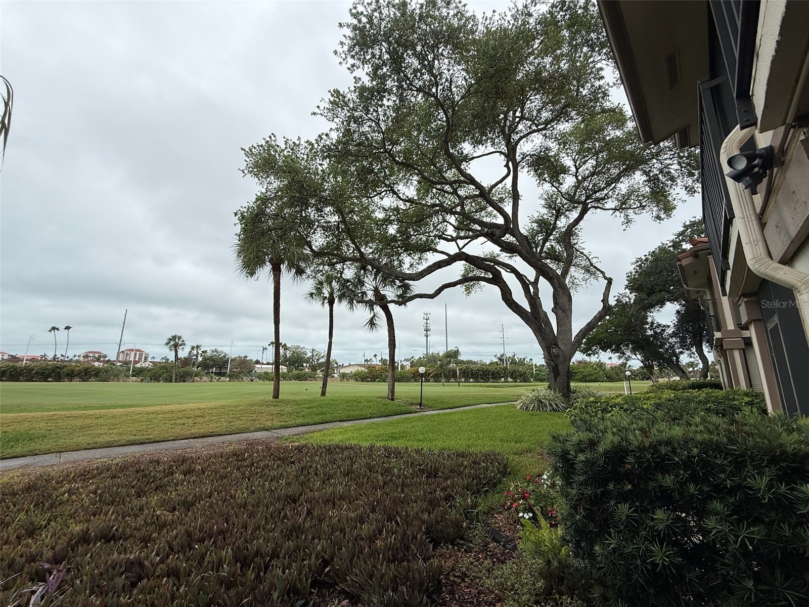 6219 Palma Del Mar Boulevard S #105 Saint Petersburg FL 33715 TB8495167 image15