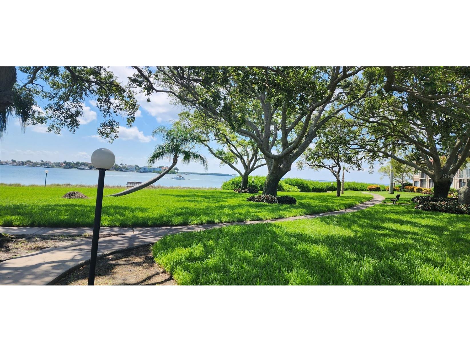 6219 Palma Del Mar Boulevard S #206 Saint Petersburg FL 33715 U8245142 image12