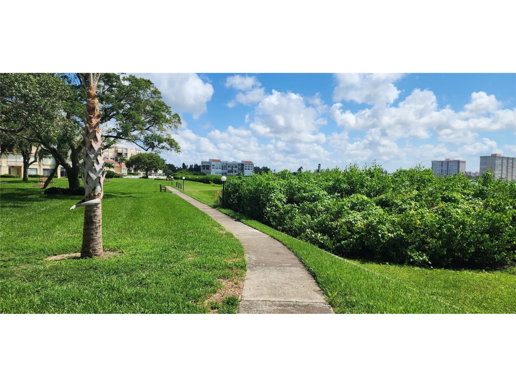 6219 Palma Del Mar Boulevard S #206 Saint Petersburg FL 33715 U8245142 image13