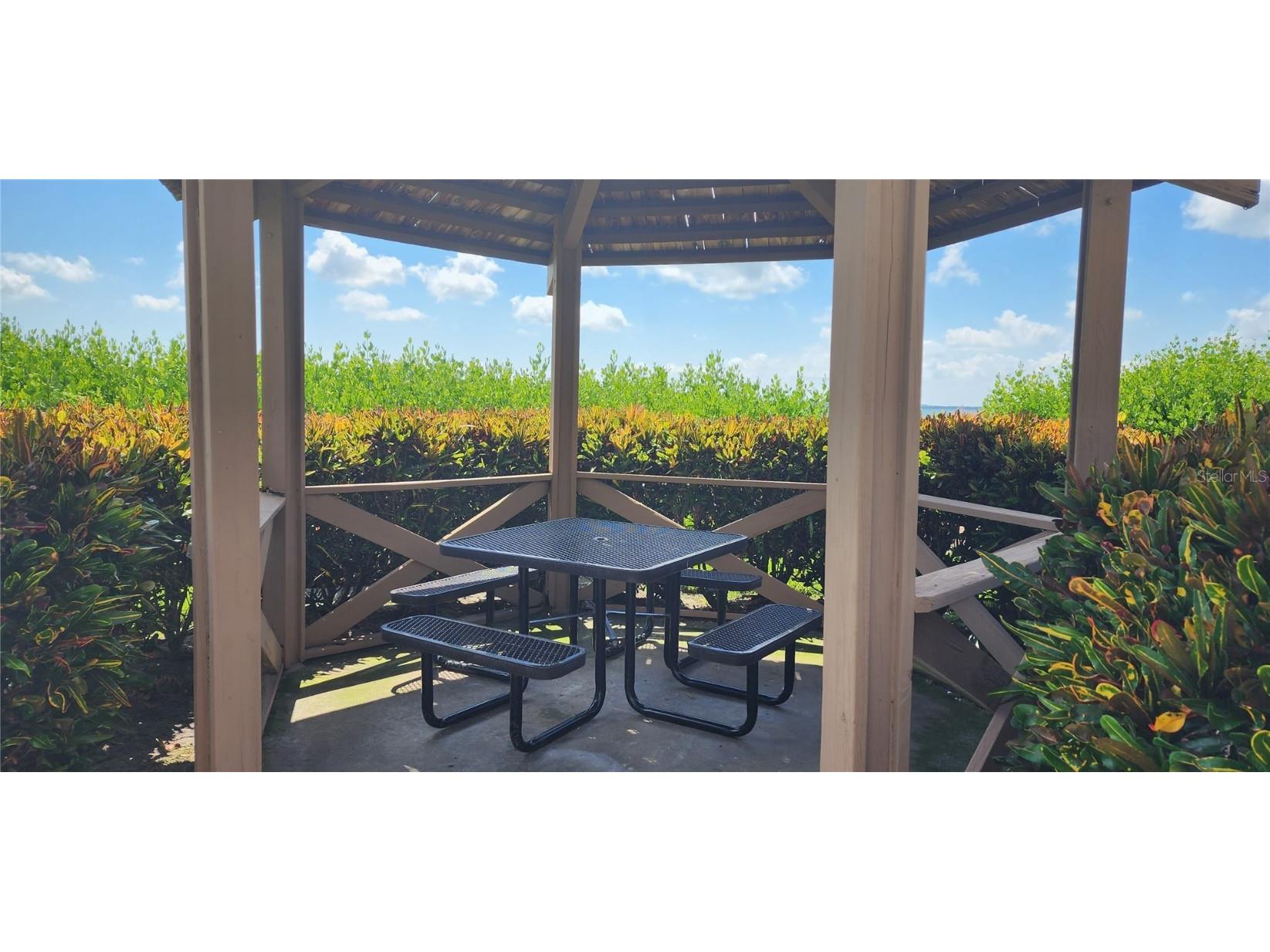 6219 Palma Del Mar Boulevard S #206 Saint Petersburg FL 33715 U8245142 image14