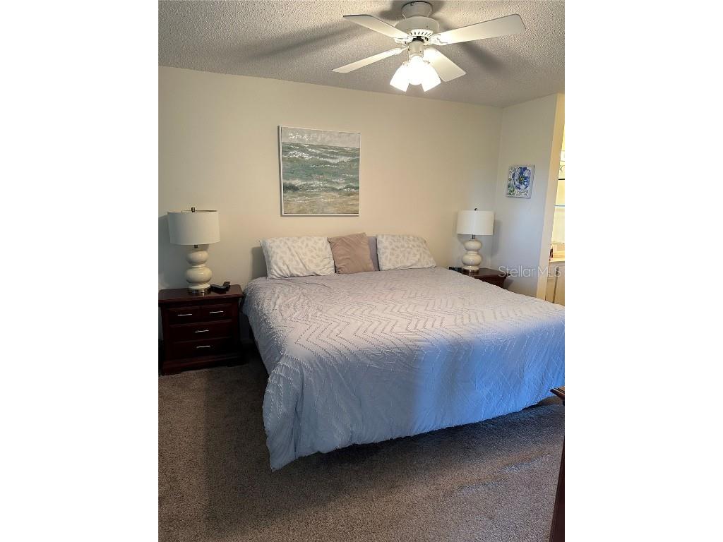 6219 Palma Del Mar Boulevard S #210 Saint Petersburg FL 33715 TB8348057 image10