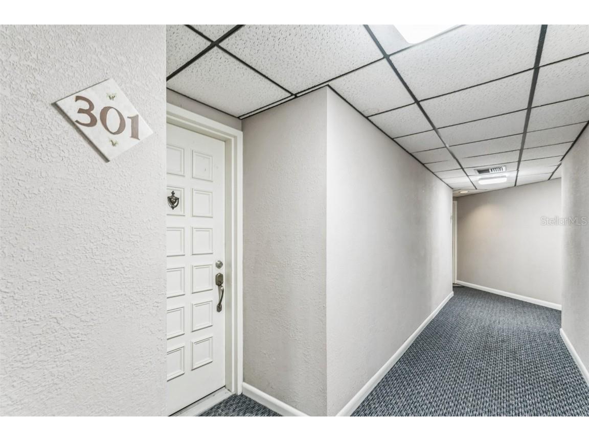 6219 Palma Del Mar Boulevard S #301 Saint Petersburg FL 33715 O6307620 image32
