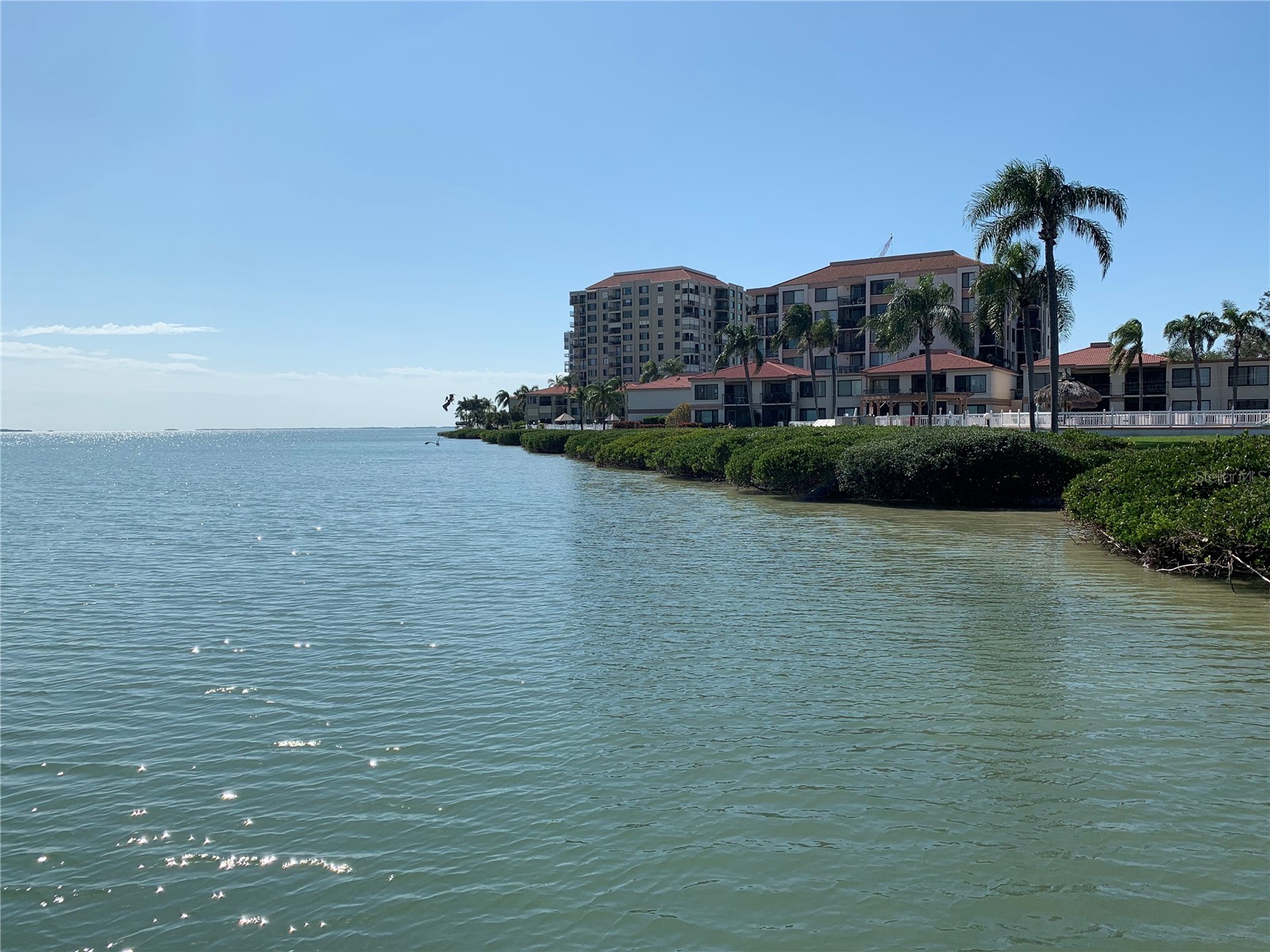 6219 Palma Del Mar Boulevard S #307 Saint Petersburg FL 33715 TB8344735 image1