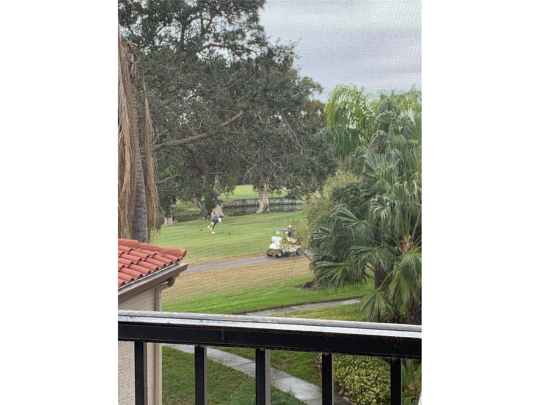 6219 Palma Del Mar Boulevard S #307 Saint Petersburg FL 33715 TB8344735 image22