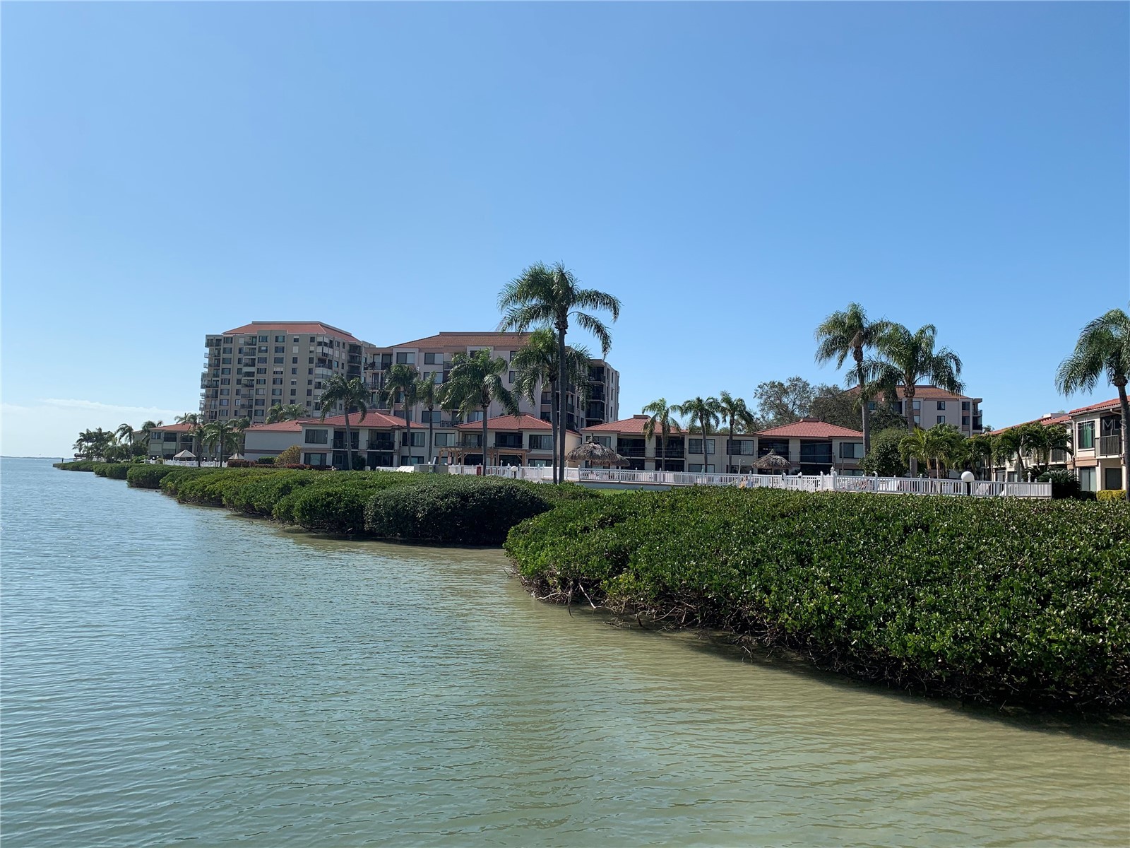 6219 Palma Del Mar Boulevard S #307 Saint Petersburg FL 33715 TB8344735 image24