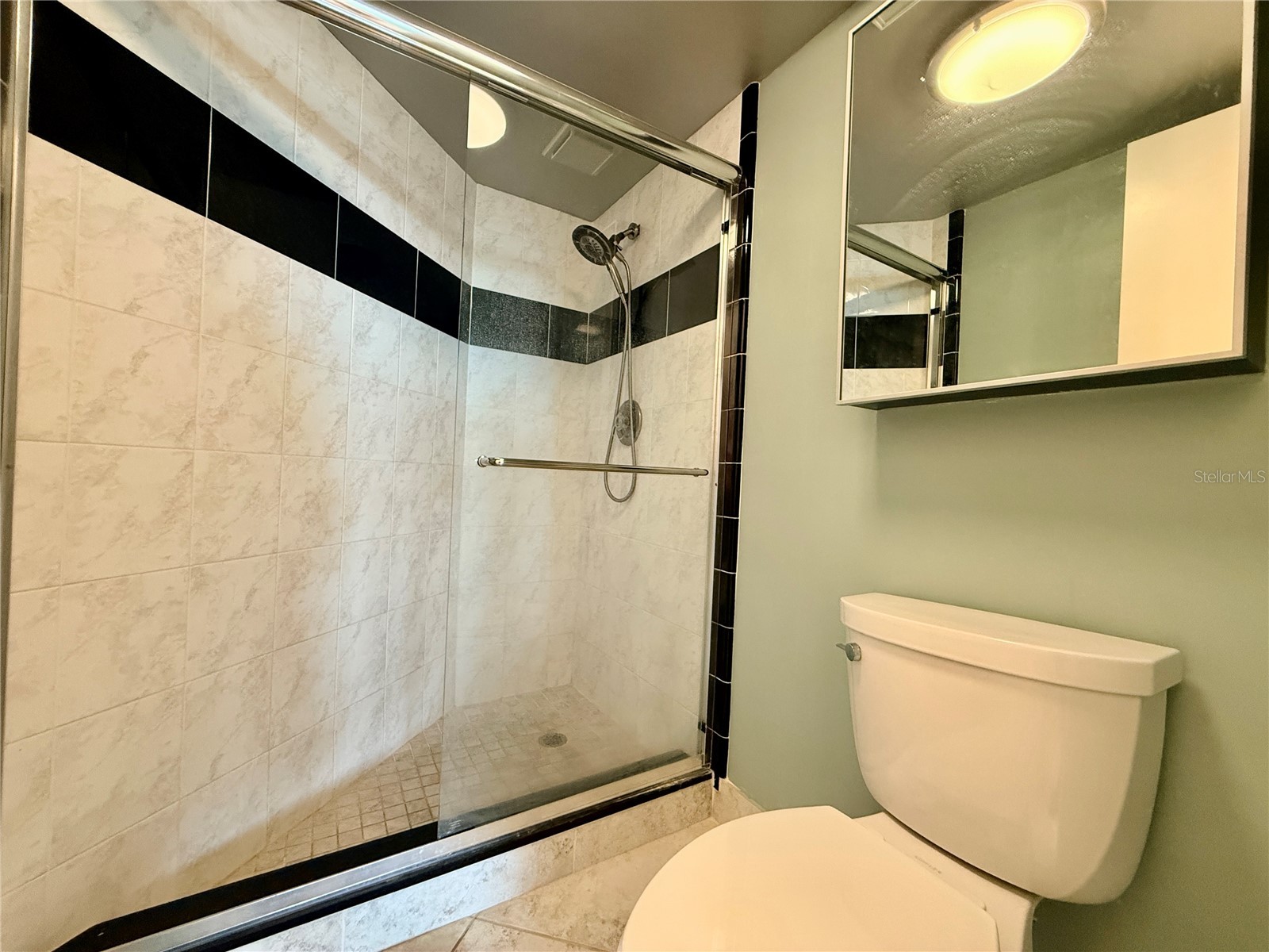 6219 Palma Del Mar Boulevard S #504 Saint Petersburg FL 33715 TB8508532 image21