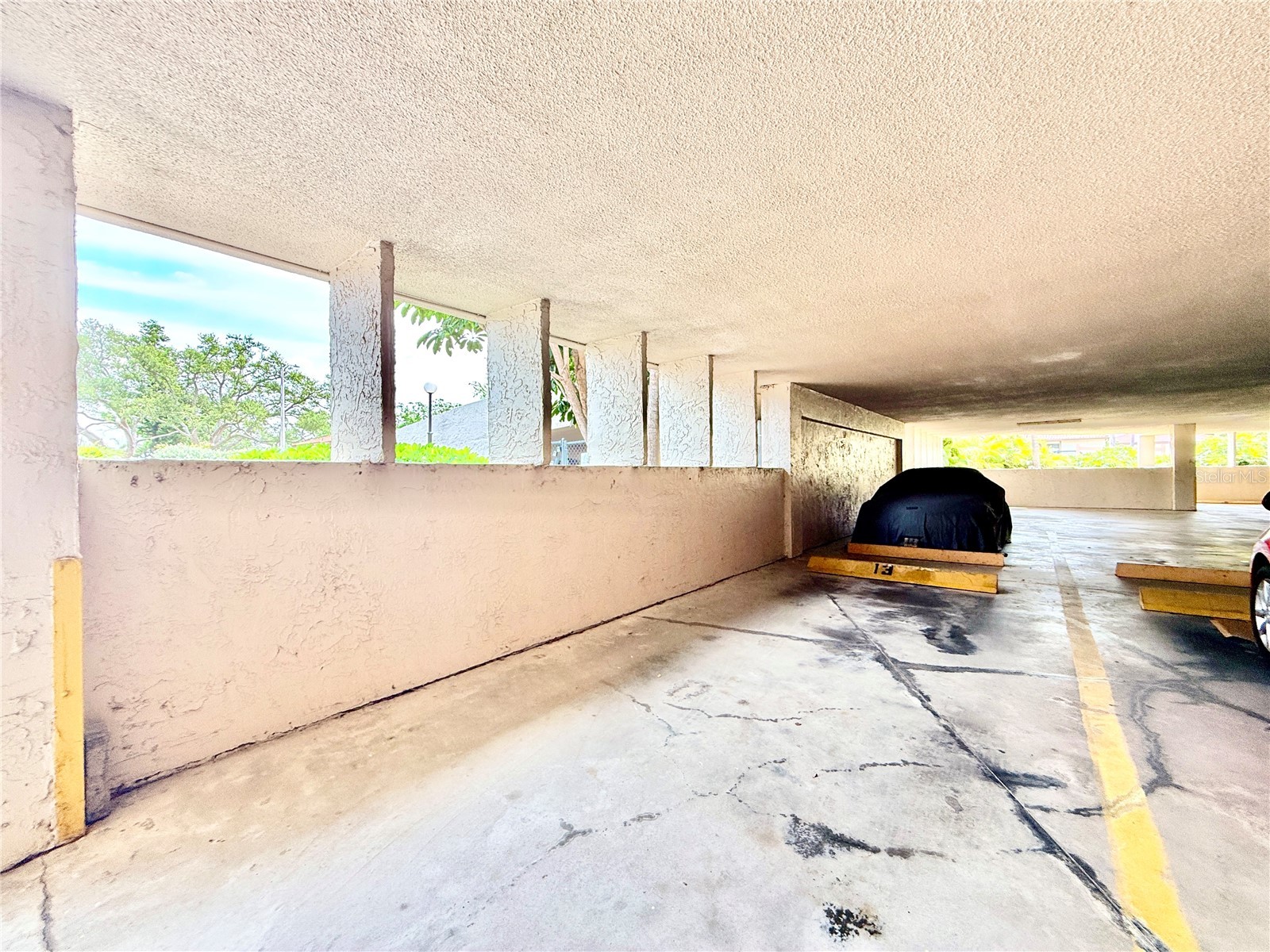 6219 Palma Del Mar Boulevard S #504 Saint Petersburg FL 33715 TB8508532 image39