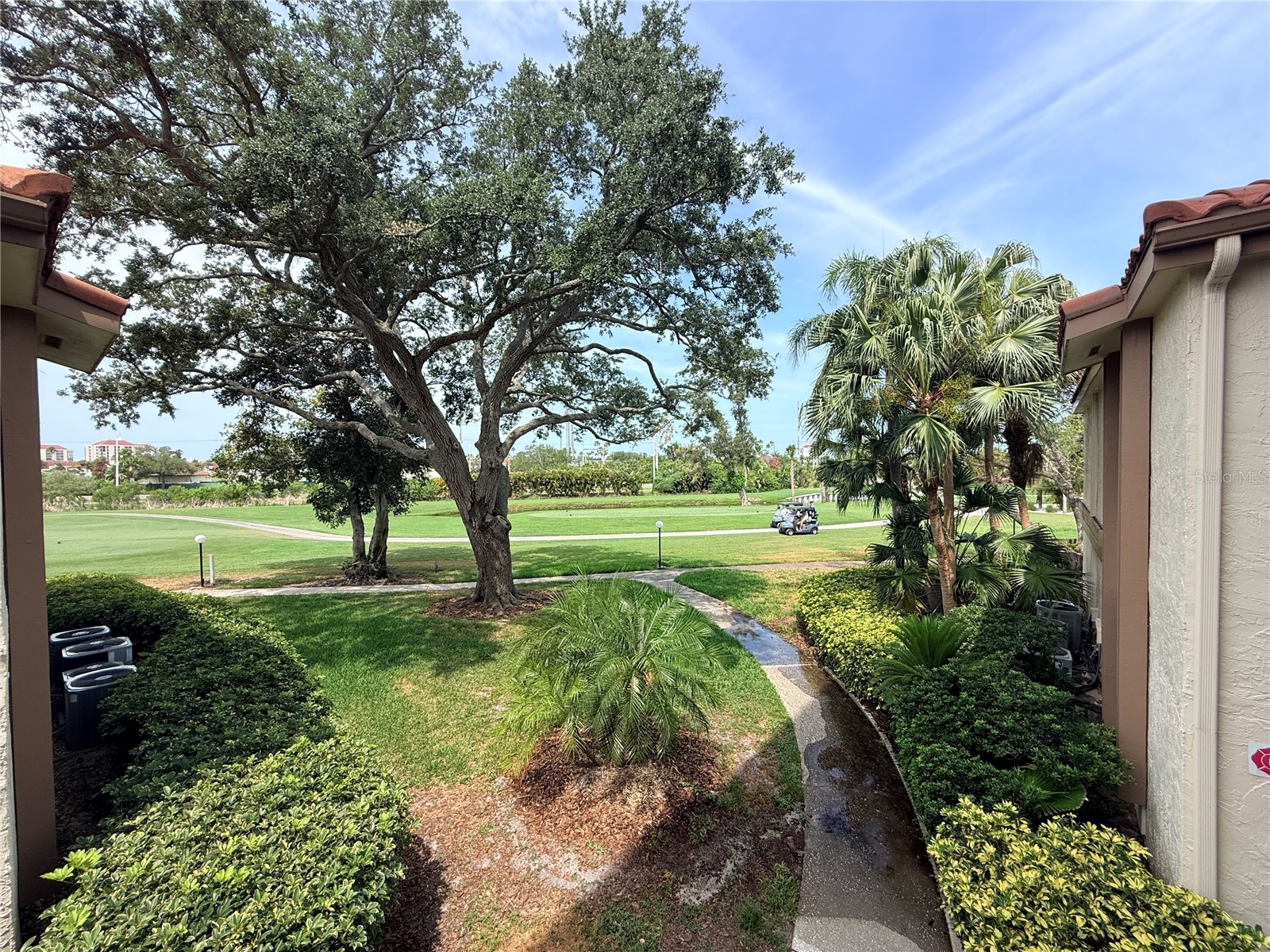 6219 Palma Del Mar Boulevard S #504 Saint Petersburg FL 33715 TB8508532 image50