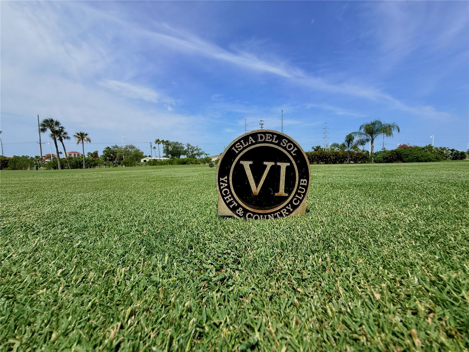 6219 Palma Del Mar Boulevard S #504 Saint Petersburg FL 33715 TB8508532 image51