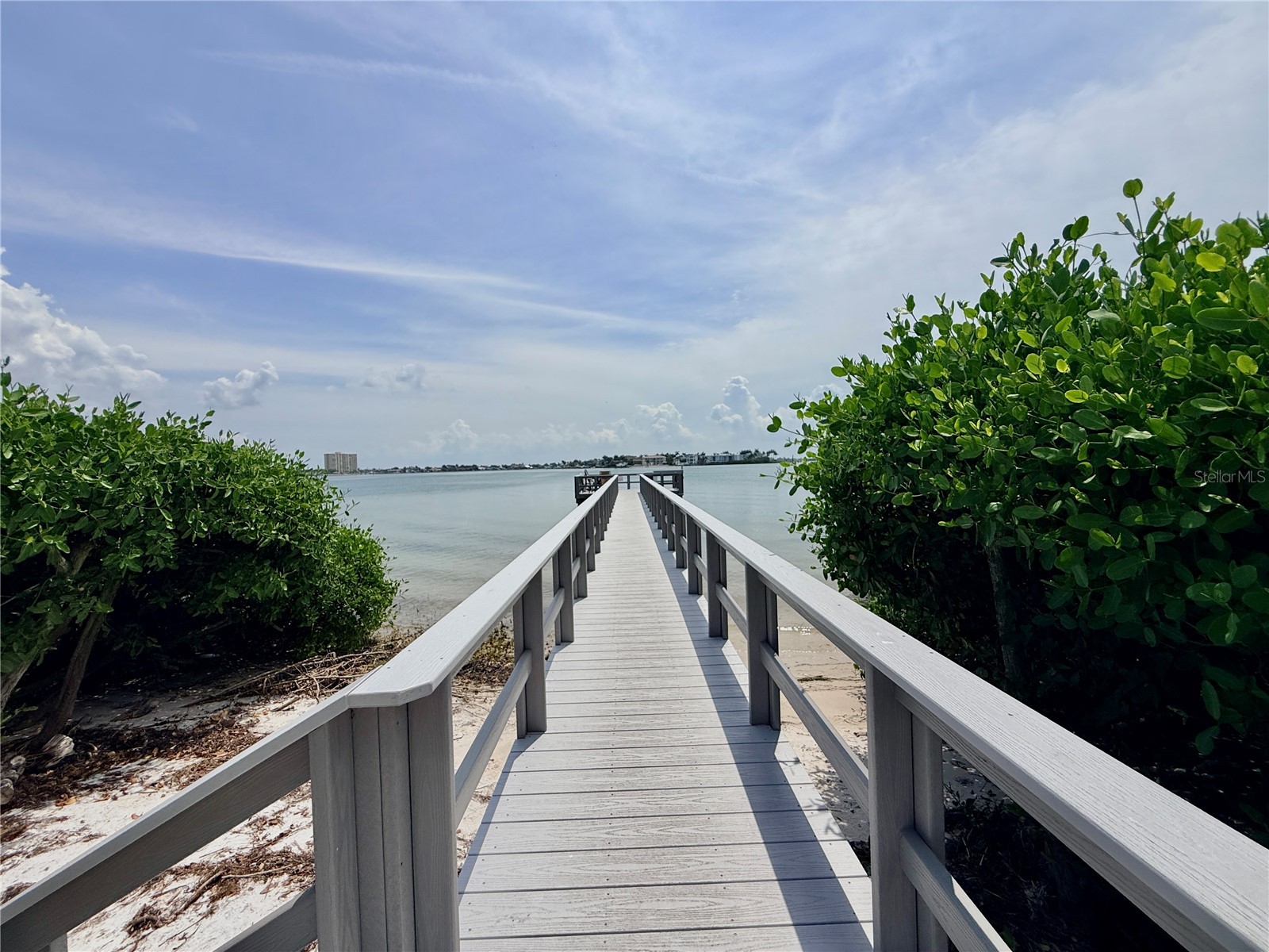 6219 Palma Del Mar Boulevard S #504 Saint Petersburg FL 33715 TB8508532 image55